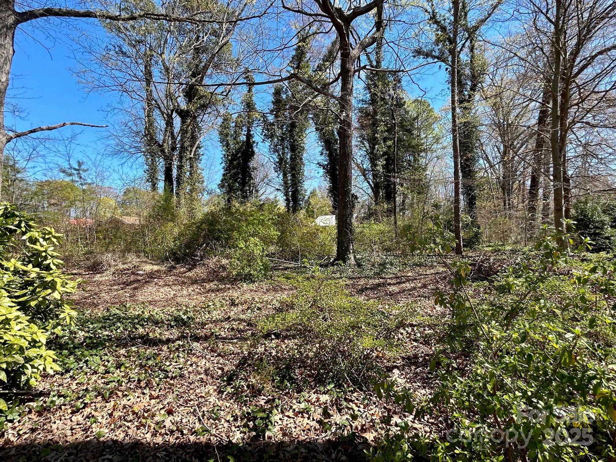 0 Milling Road Property Photo 4