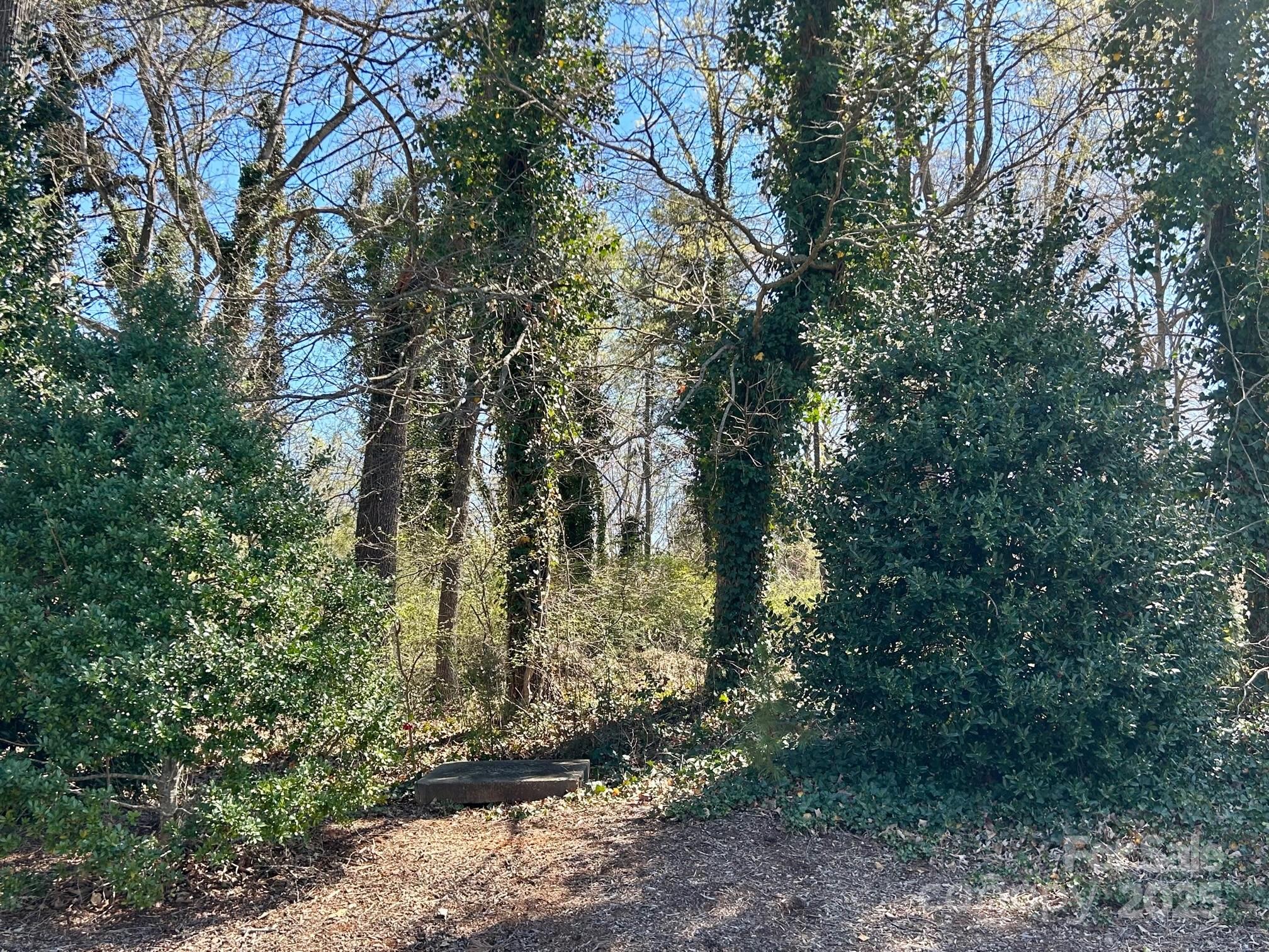 0 Milling Road Property Photo 5