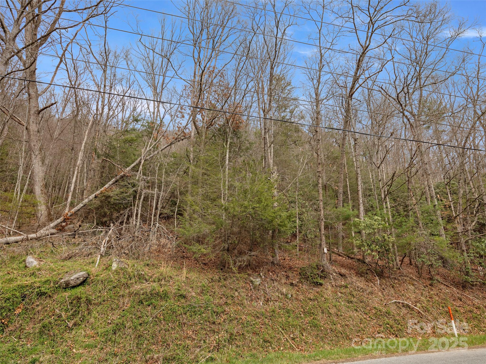 9999 Panther Creek Road B Property Photo 3