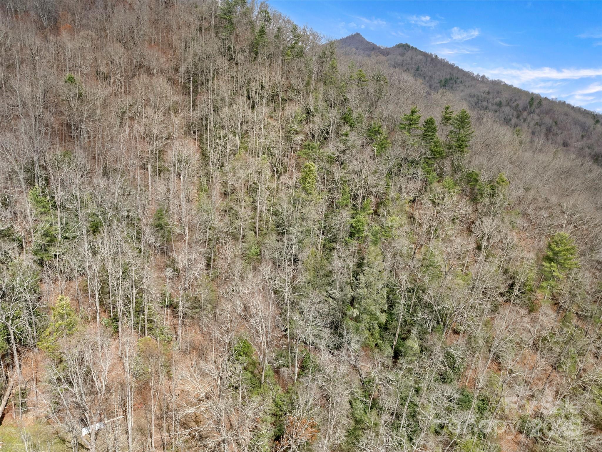 9999 Panther Creek Road B Property Photo 4