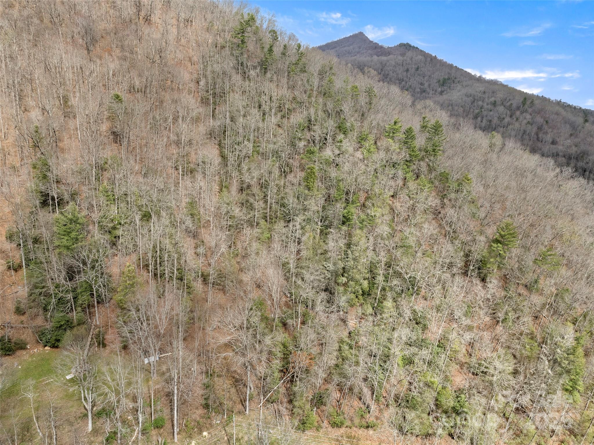 9999 Panther Creek Road B Property Photo 5