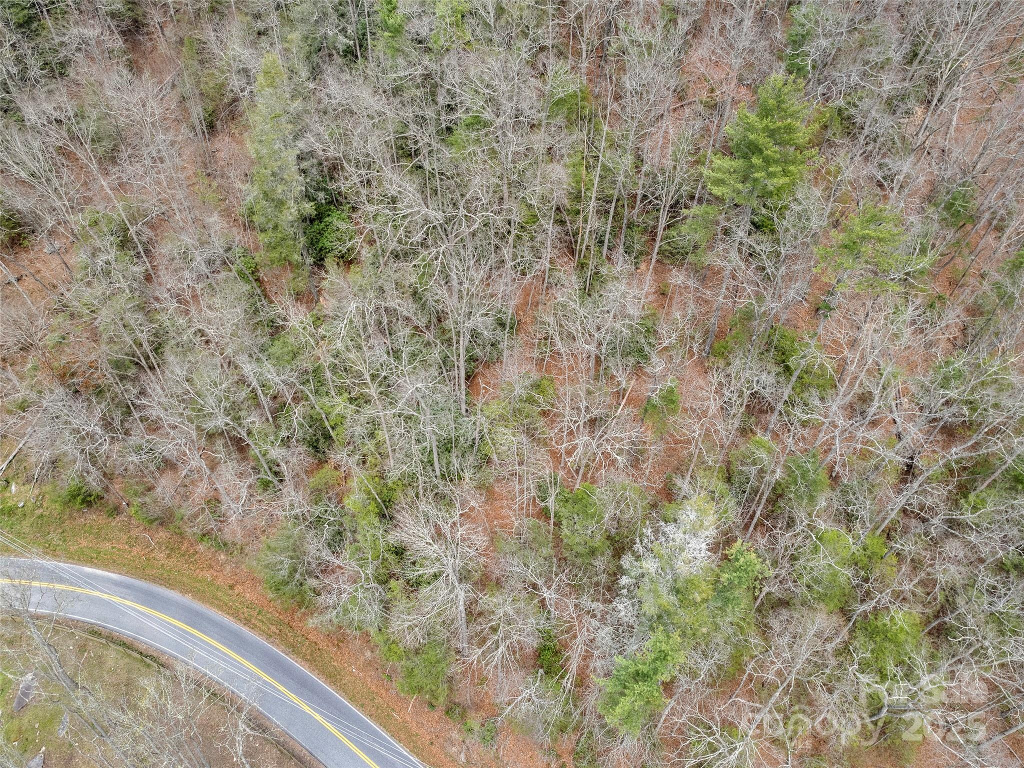 9999 Panther Creek Road B Property Photo 7