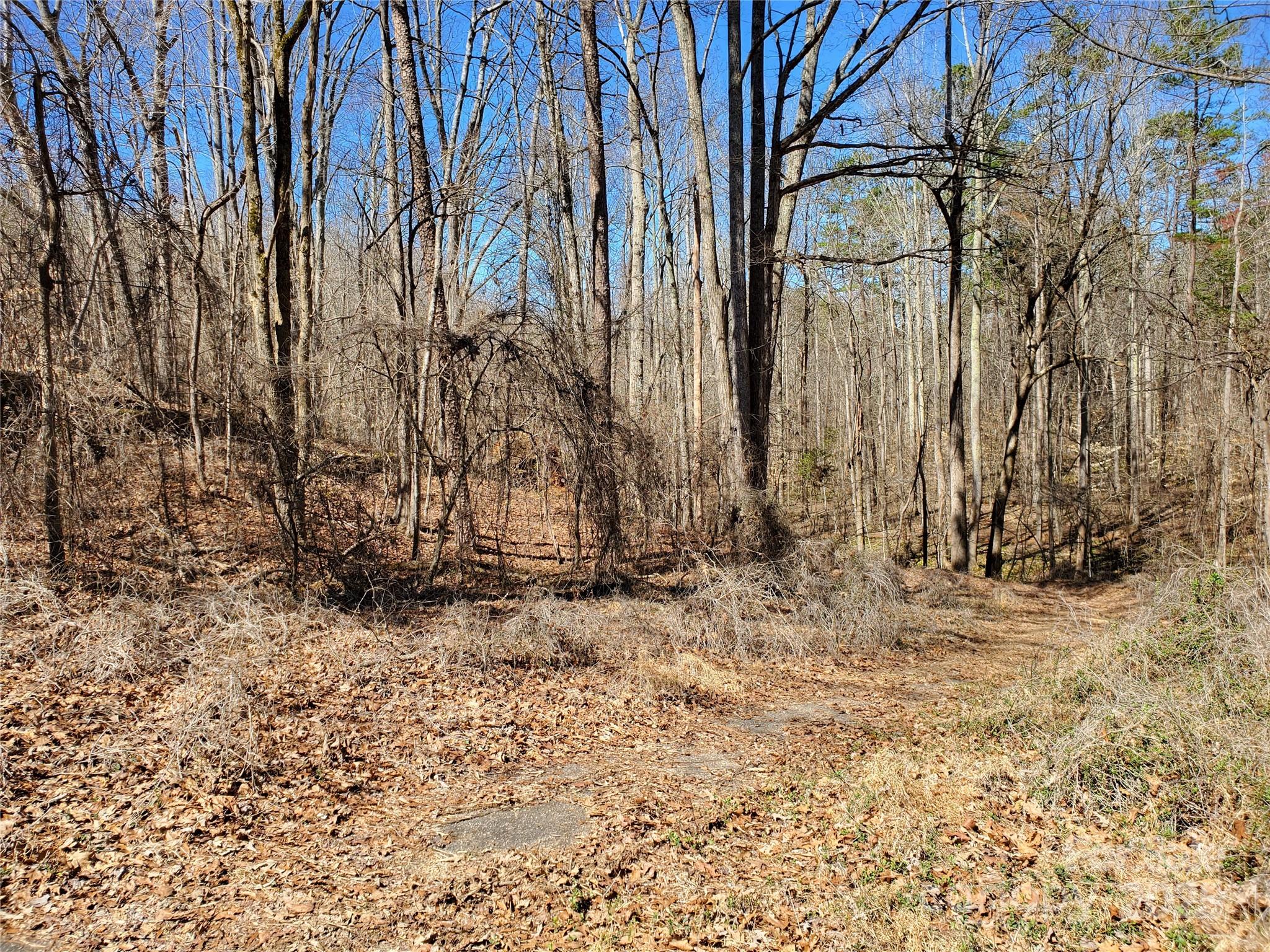170 Jasmine Circle Property Photo 2