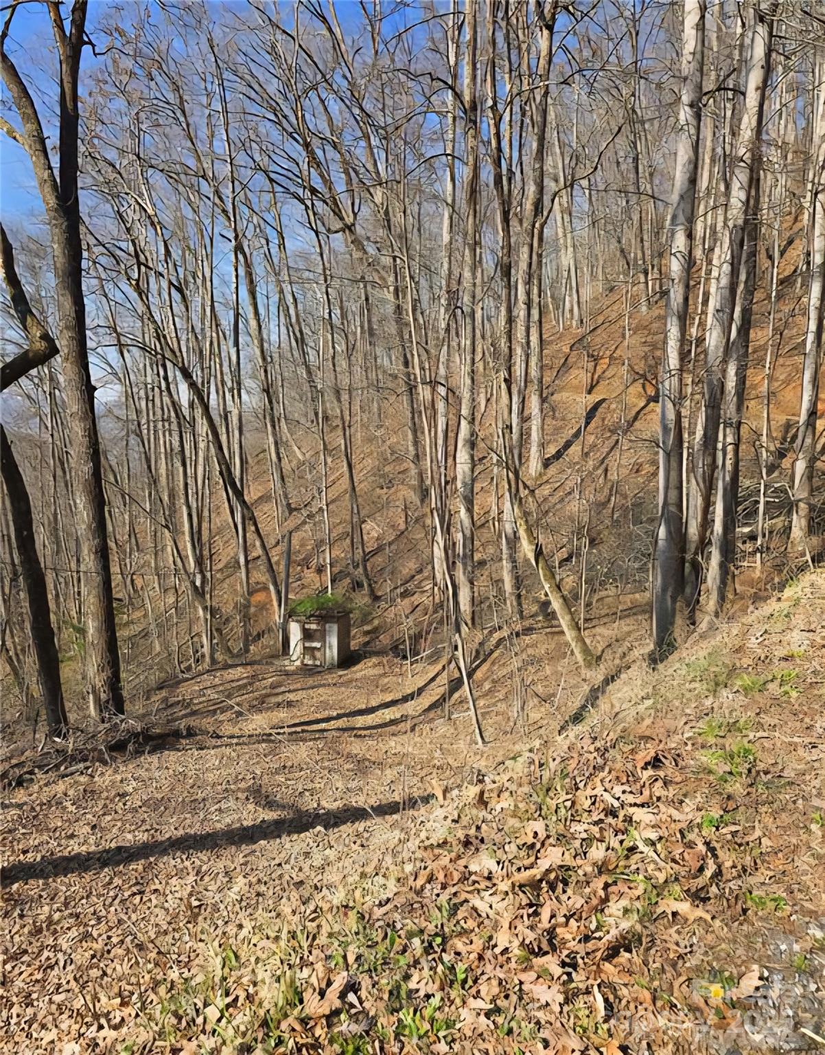 32 Black Mountain Road Property Photo 1
