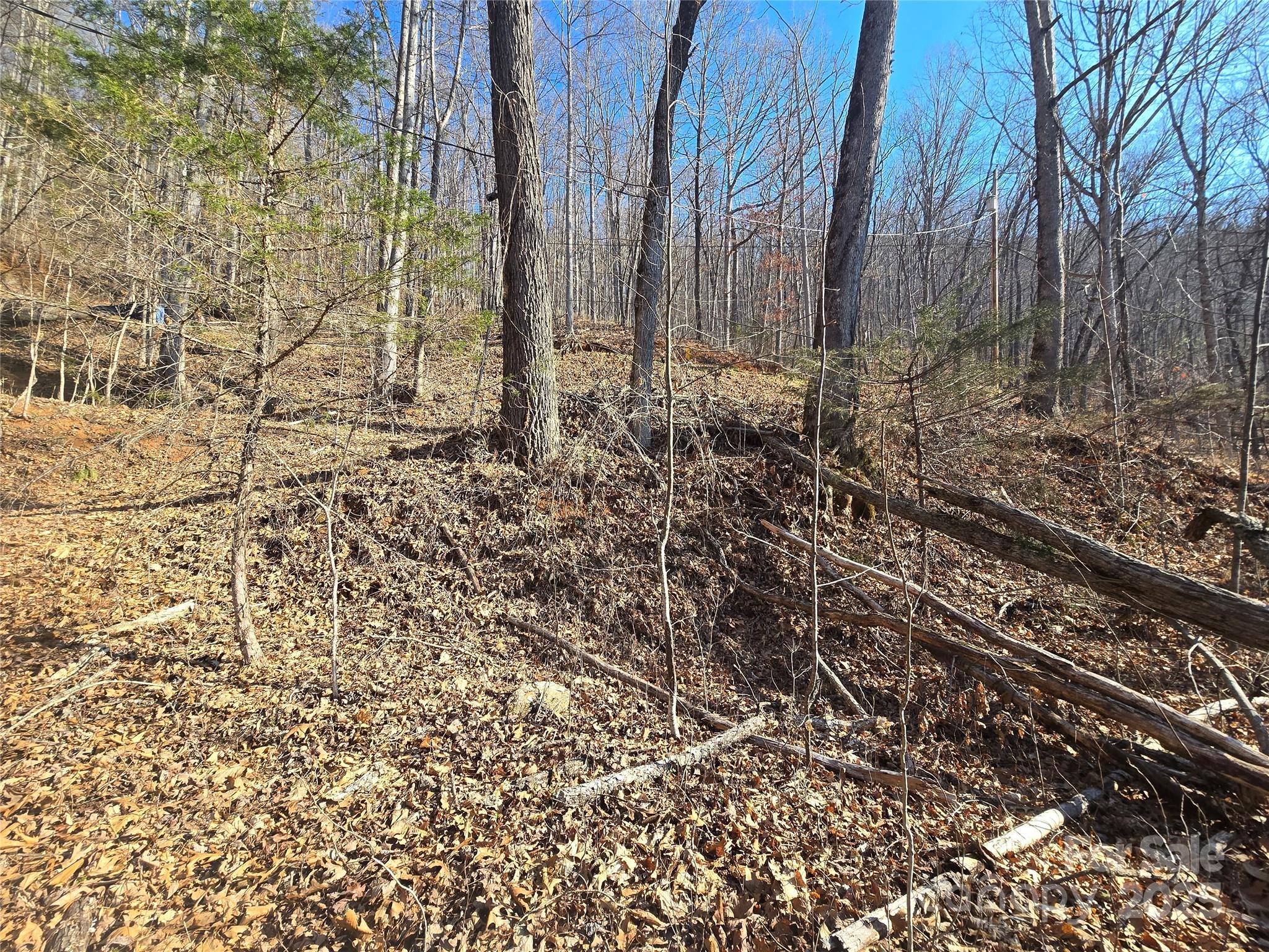 32 Black Mountain Road Property Photo 4