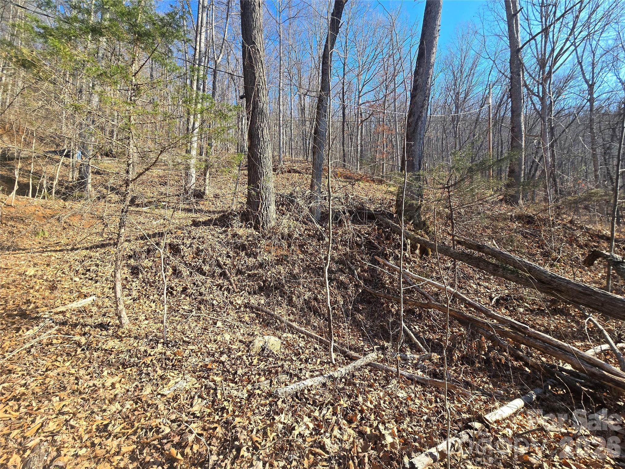 32 Black Mountain Road Property Photo 4