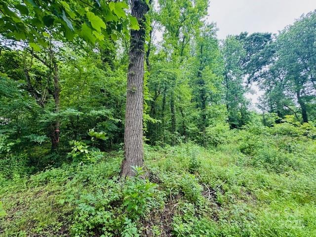 2015 C Avenue Property Photo 7