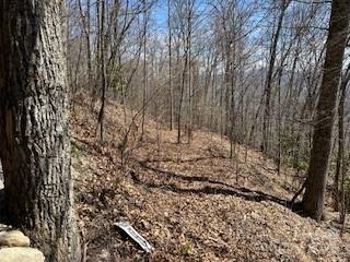 28 Utah Mountain Road Property Photo 4