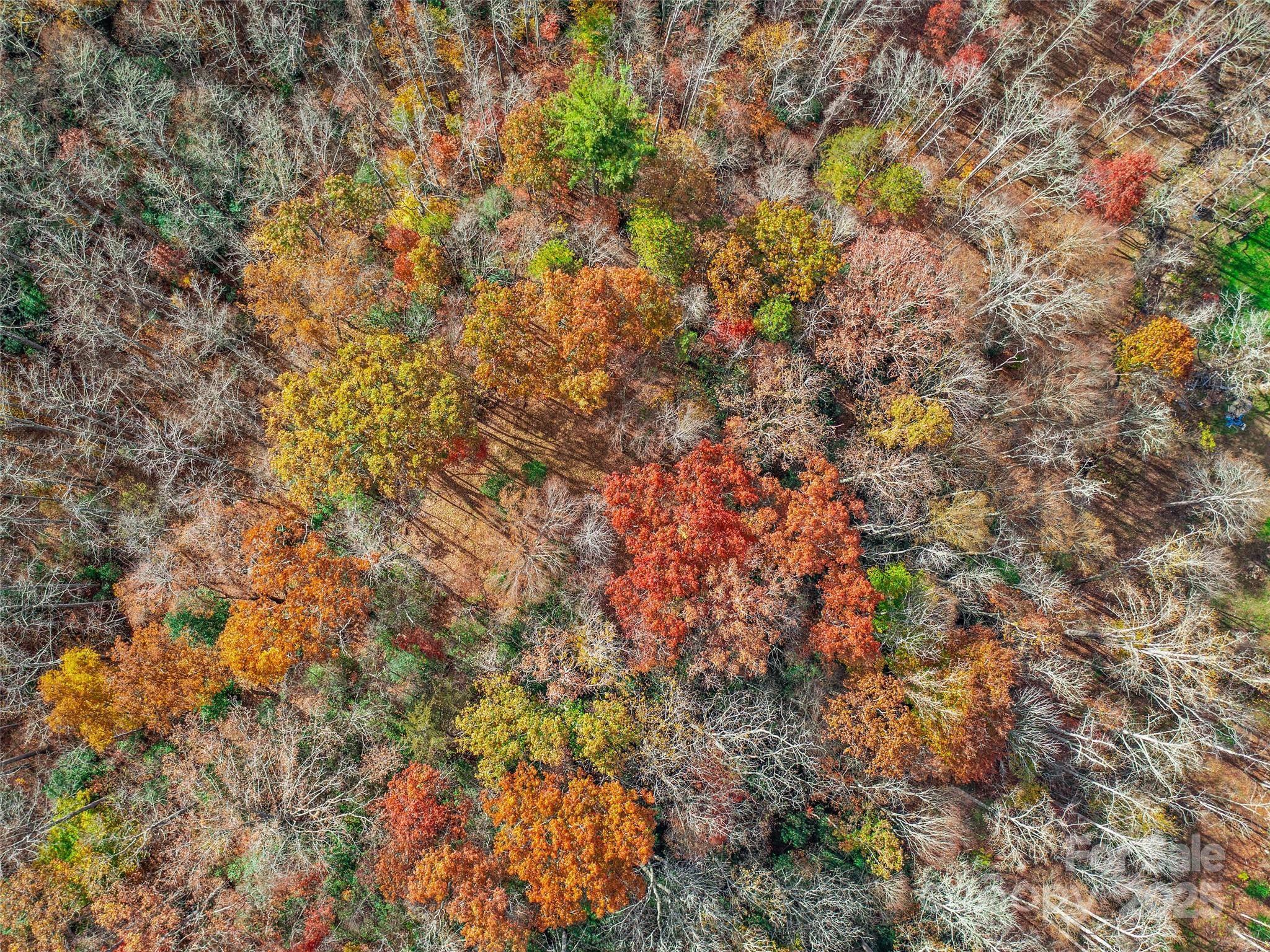 384 Flat Creek Road Property Photo 24