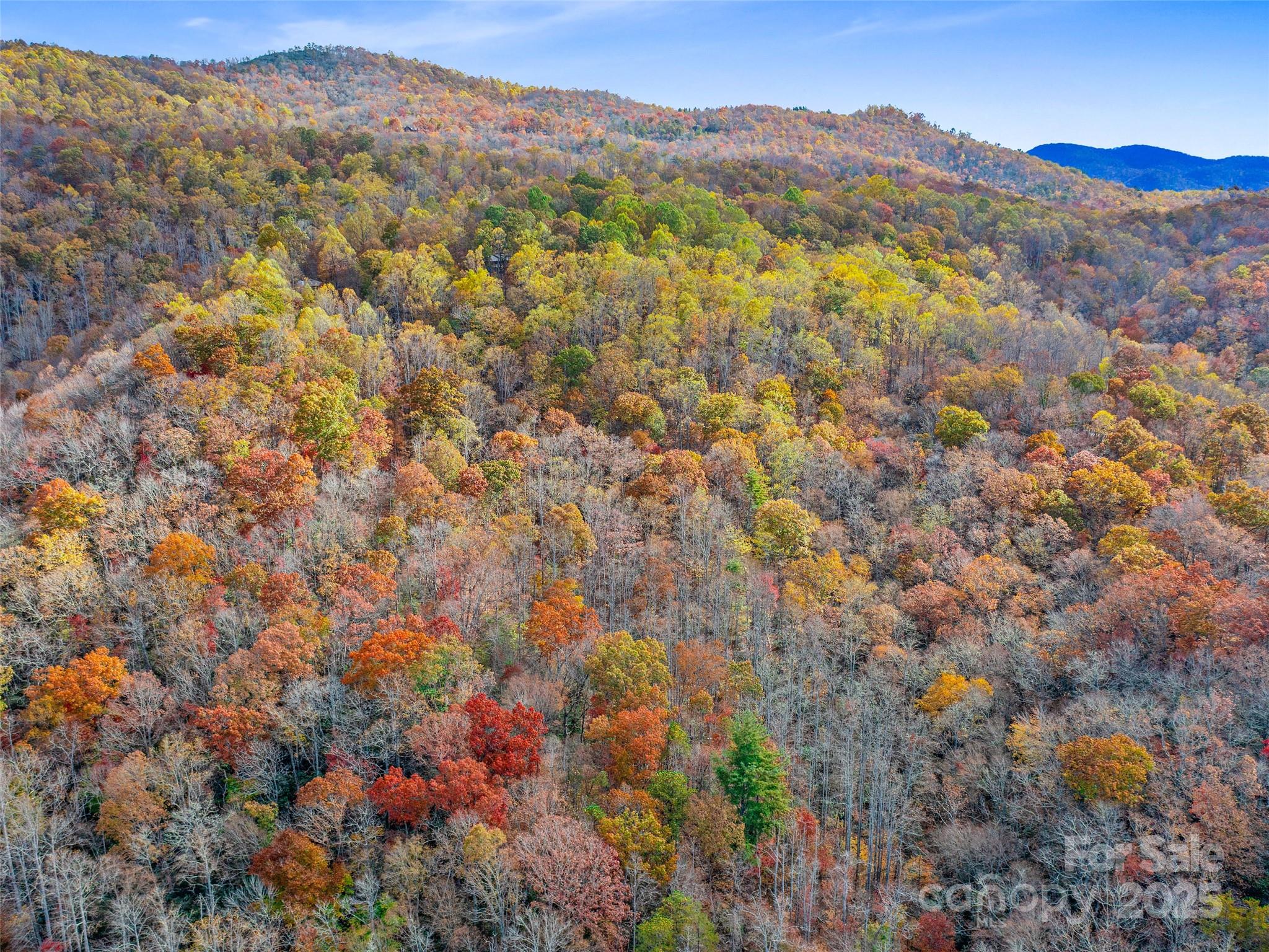 384 Flat Creek Road Property Photo 25