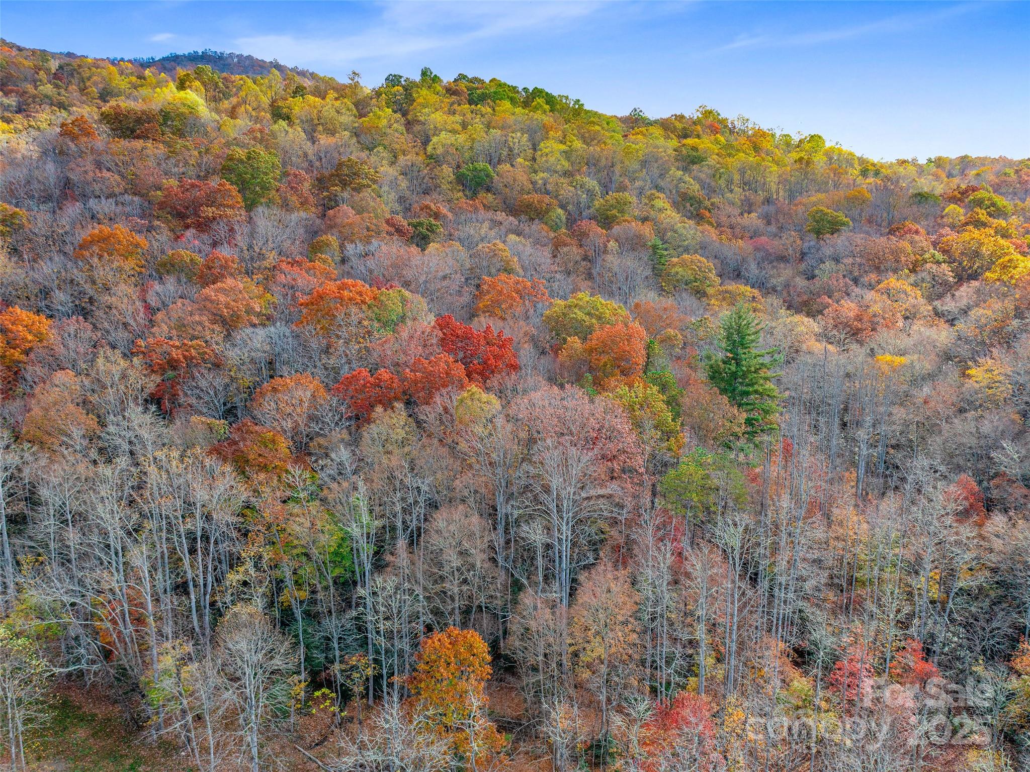384 Flat Creek Road Property Photo 26