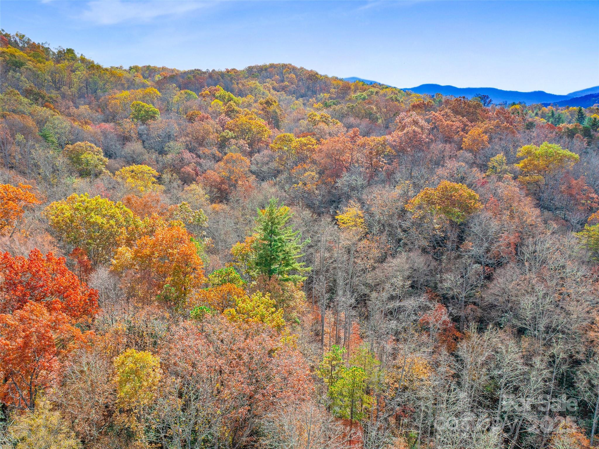 384 Flat Creek Road Property Photo 27