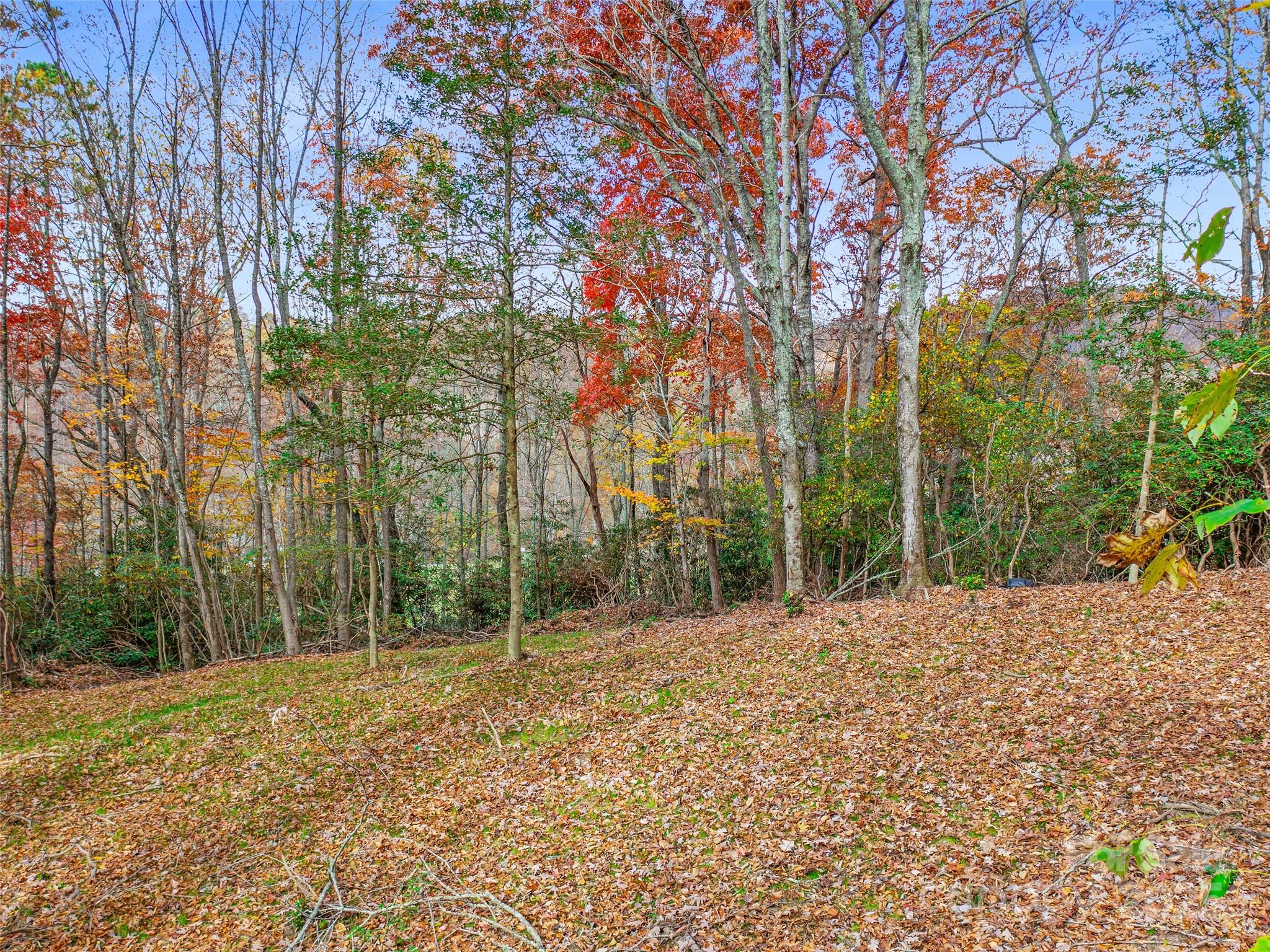 384 Flat Creek Road Property Photo 28
