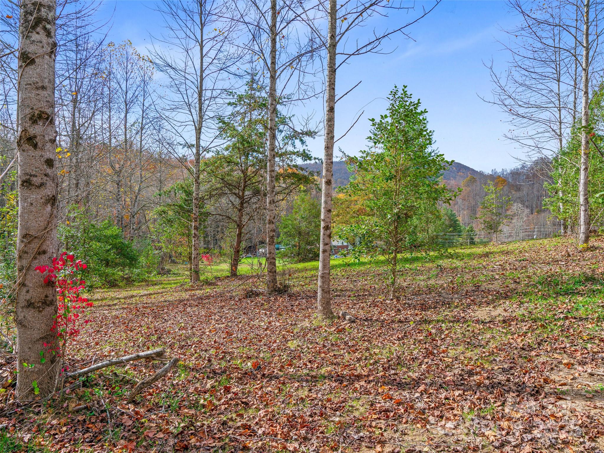 384 Flat Creek Road Property Photo 29