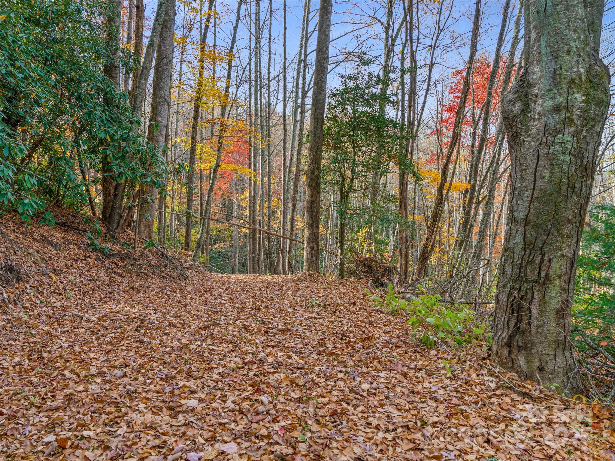 384 Flat Creek Road Property Photo 30