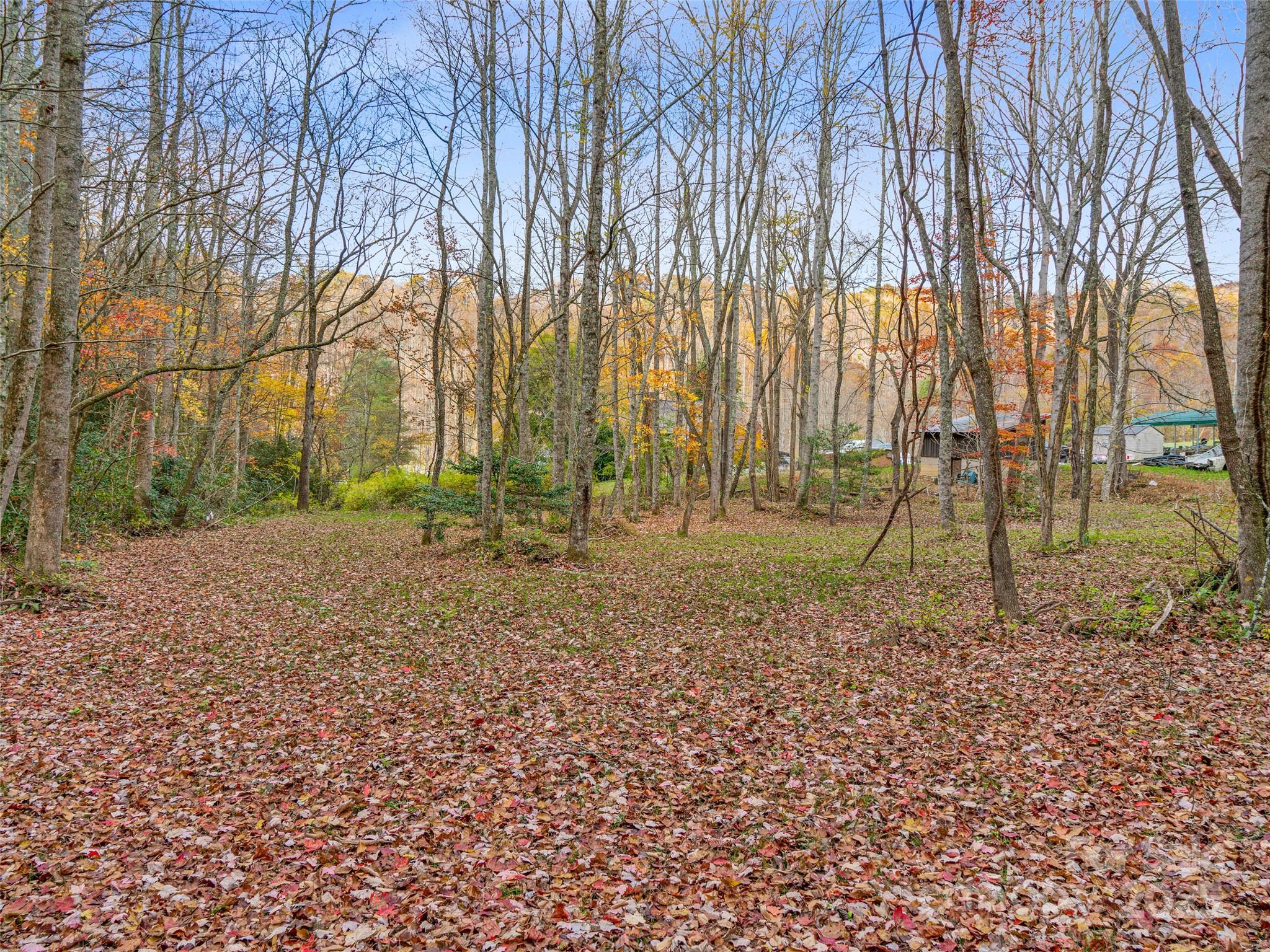 384 Flat Creek Road Property Photo 31