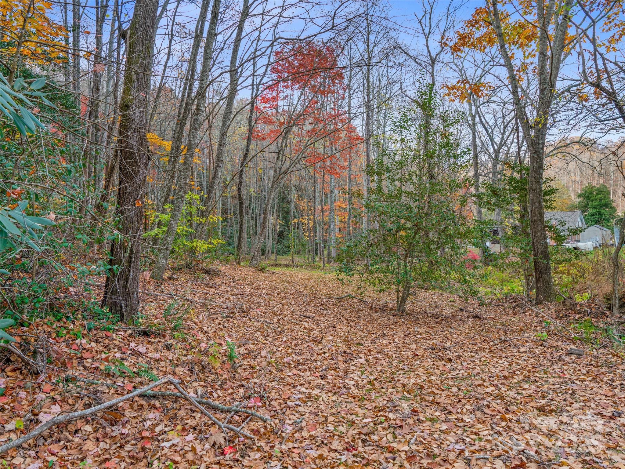 384 Flat Creek Road Property Photo 32