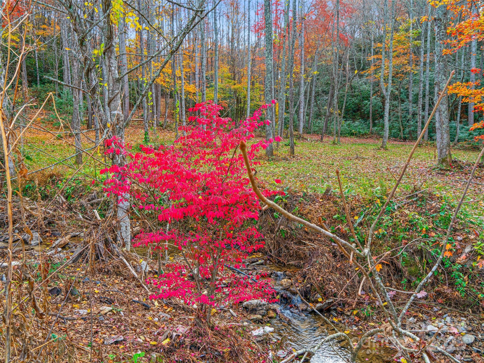384 Flat Creek Road Property Photo 33