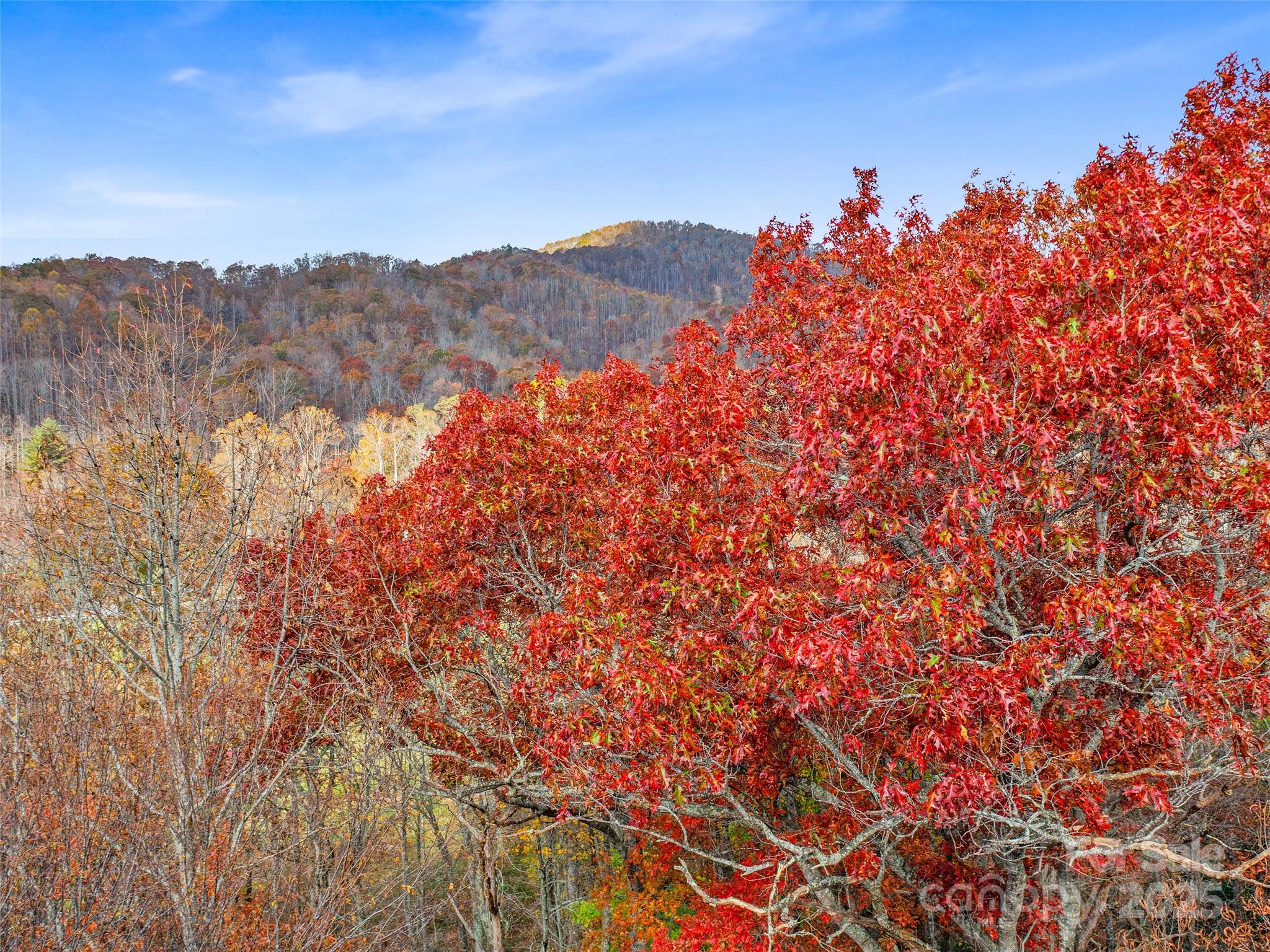 384 Flat Creek Road Property Photo 35