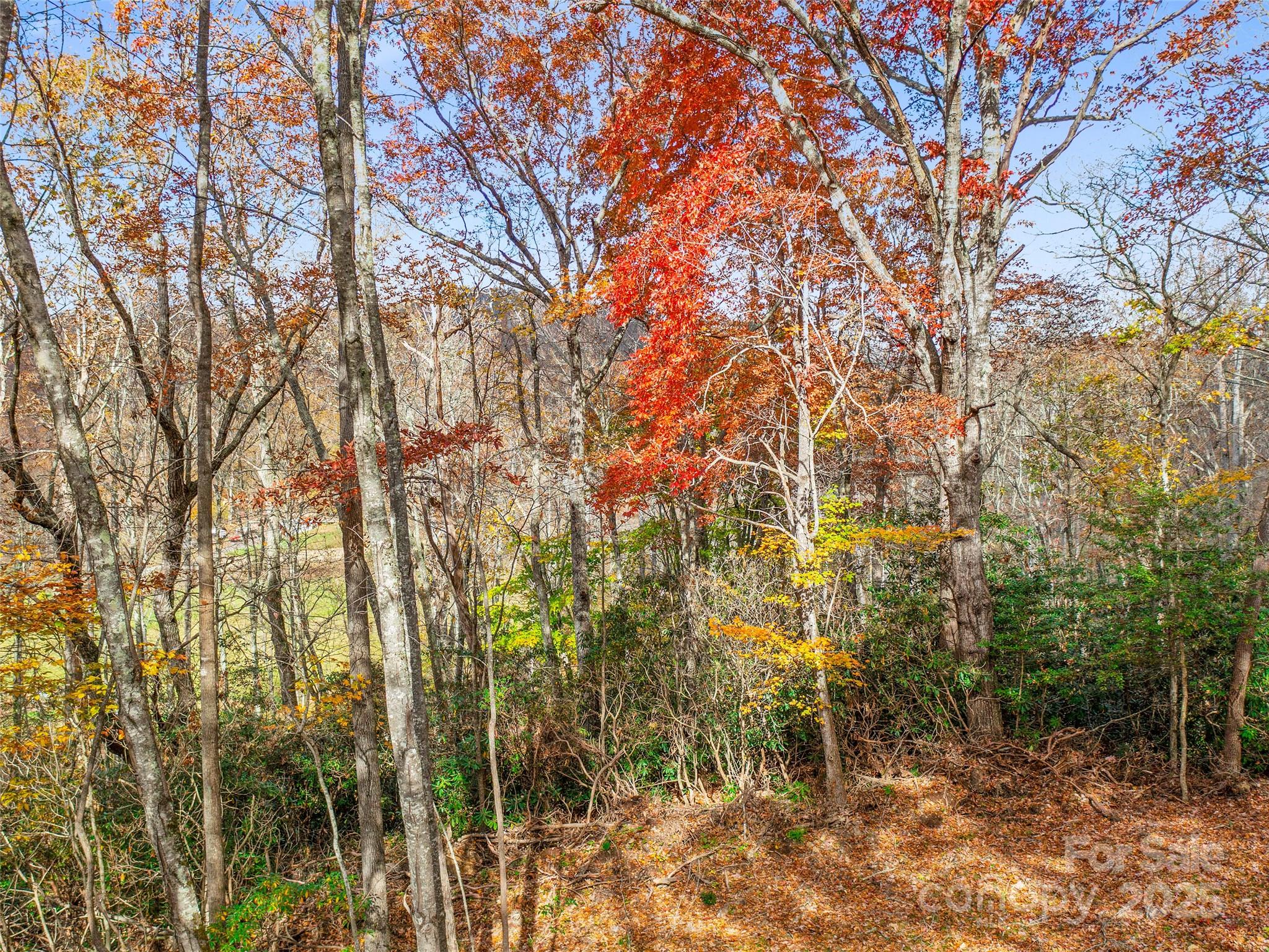 384 Flat Creek Road Property Photo 36