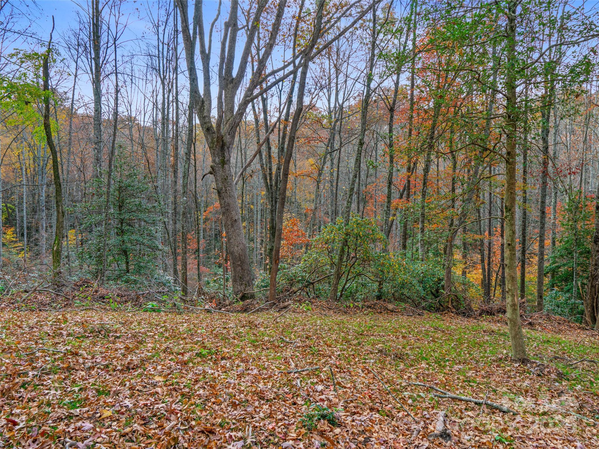 384 Flat Creek Road Property Photo 37