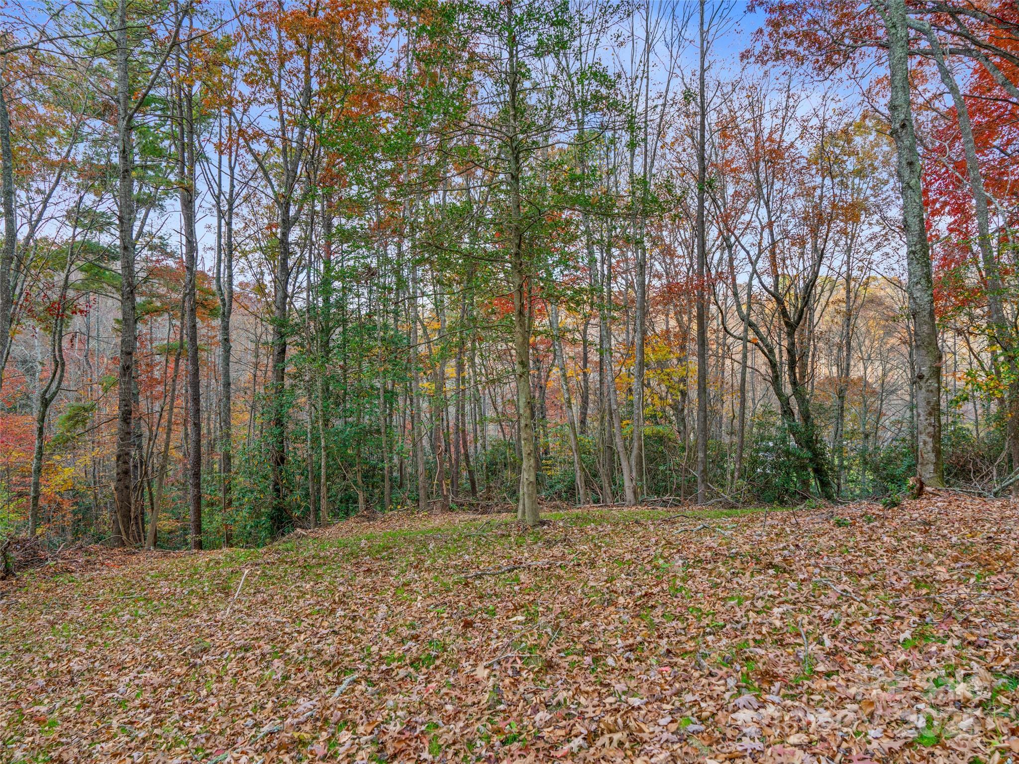 384 Flat Creek Road Property Photo 38