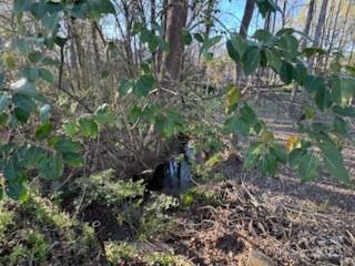 00 N Yadkin Avenue Property Photo 2