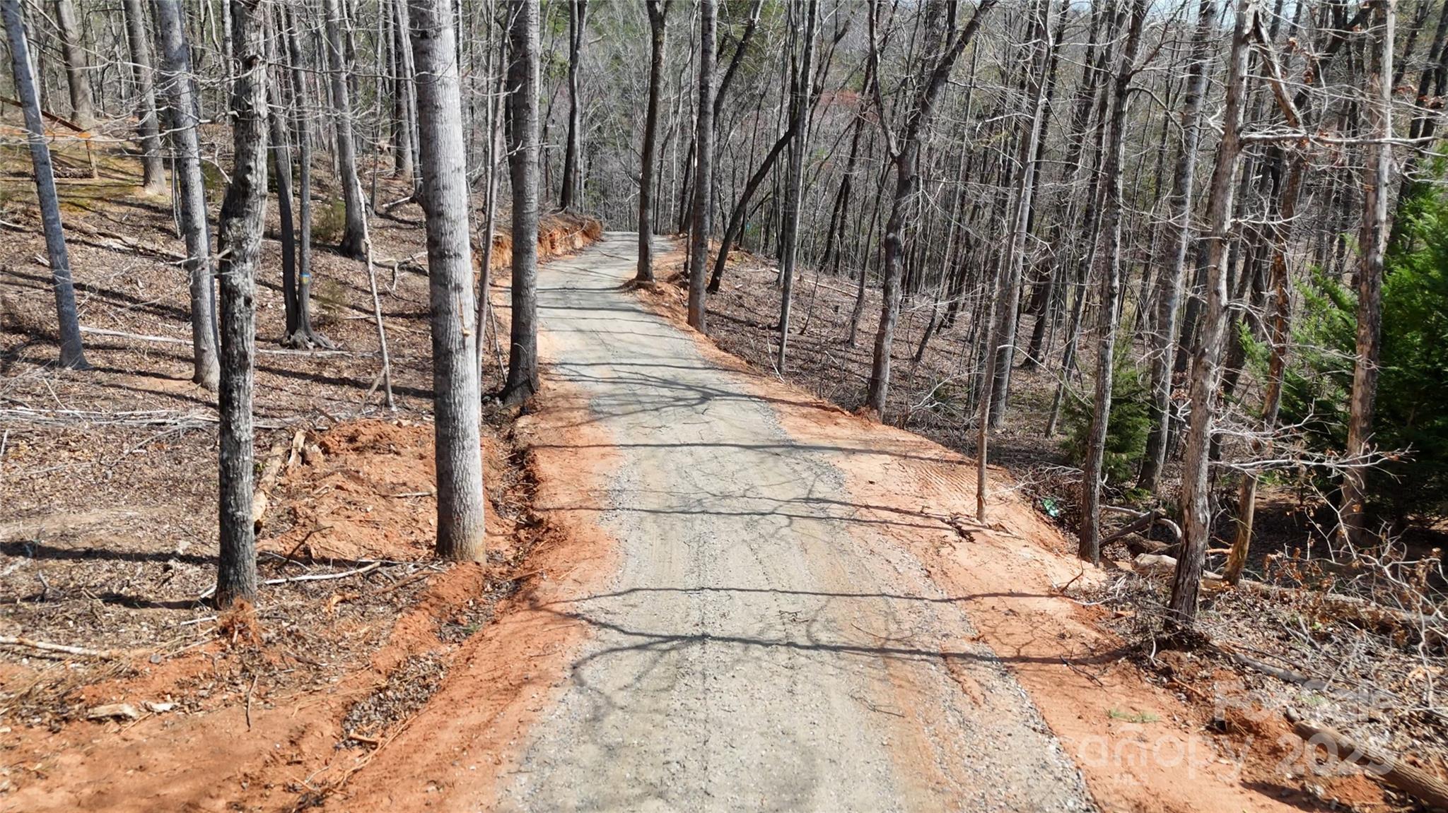 19.75 Acres King Stepp Road Property Photo 1