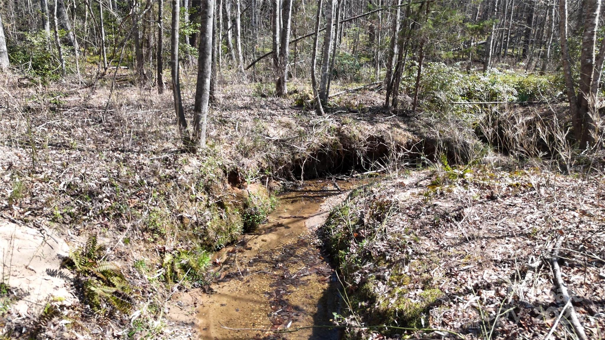 19.75 Acres King Stepp Road Property Photo 2