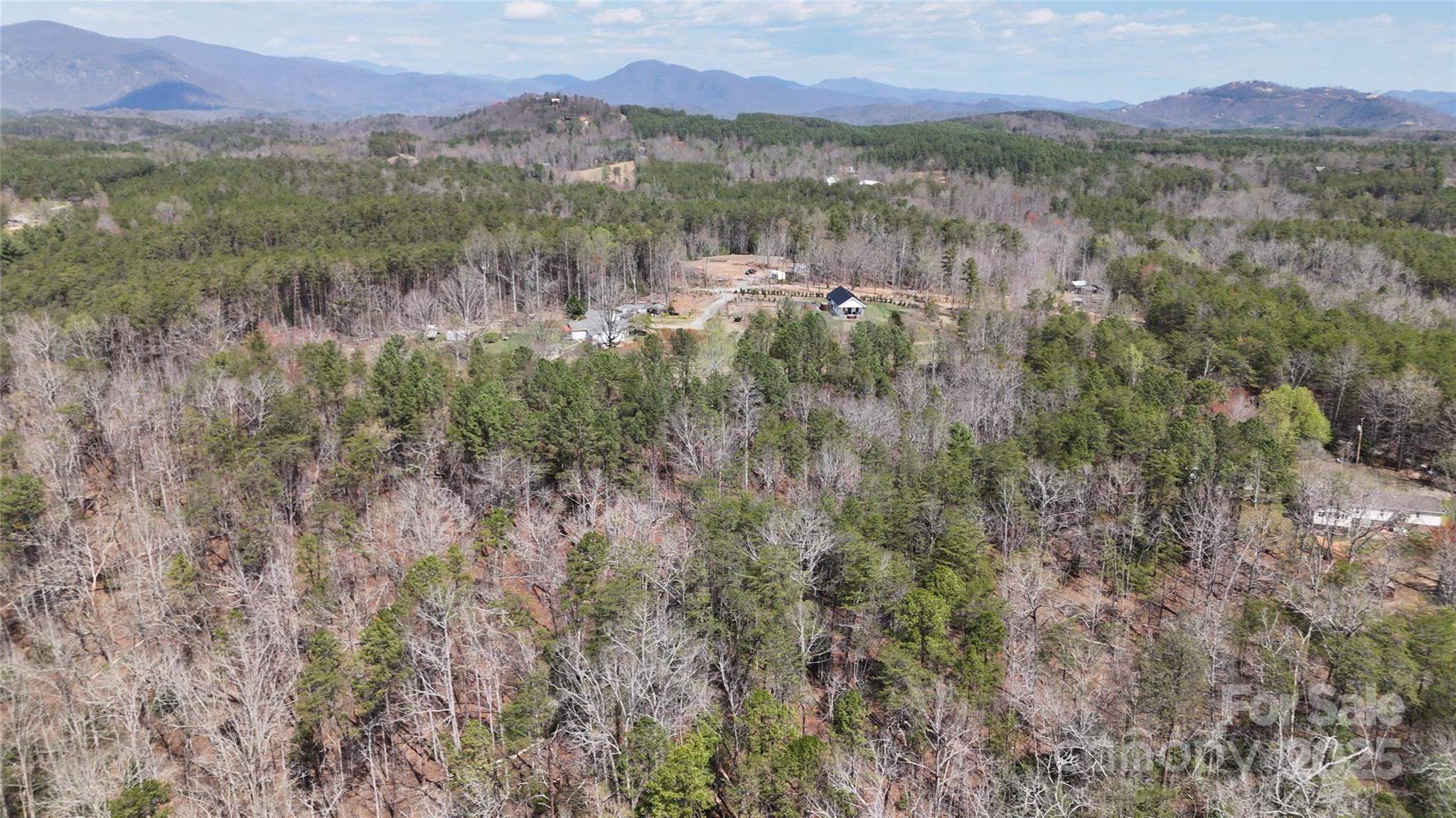 19.75 Acres King Stepp Road Property Photo 3