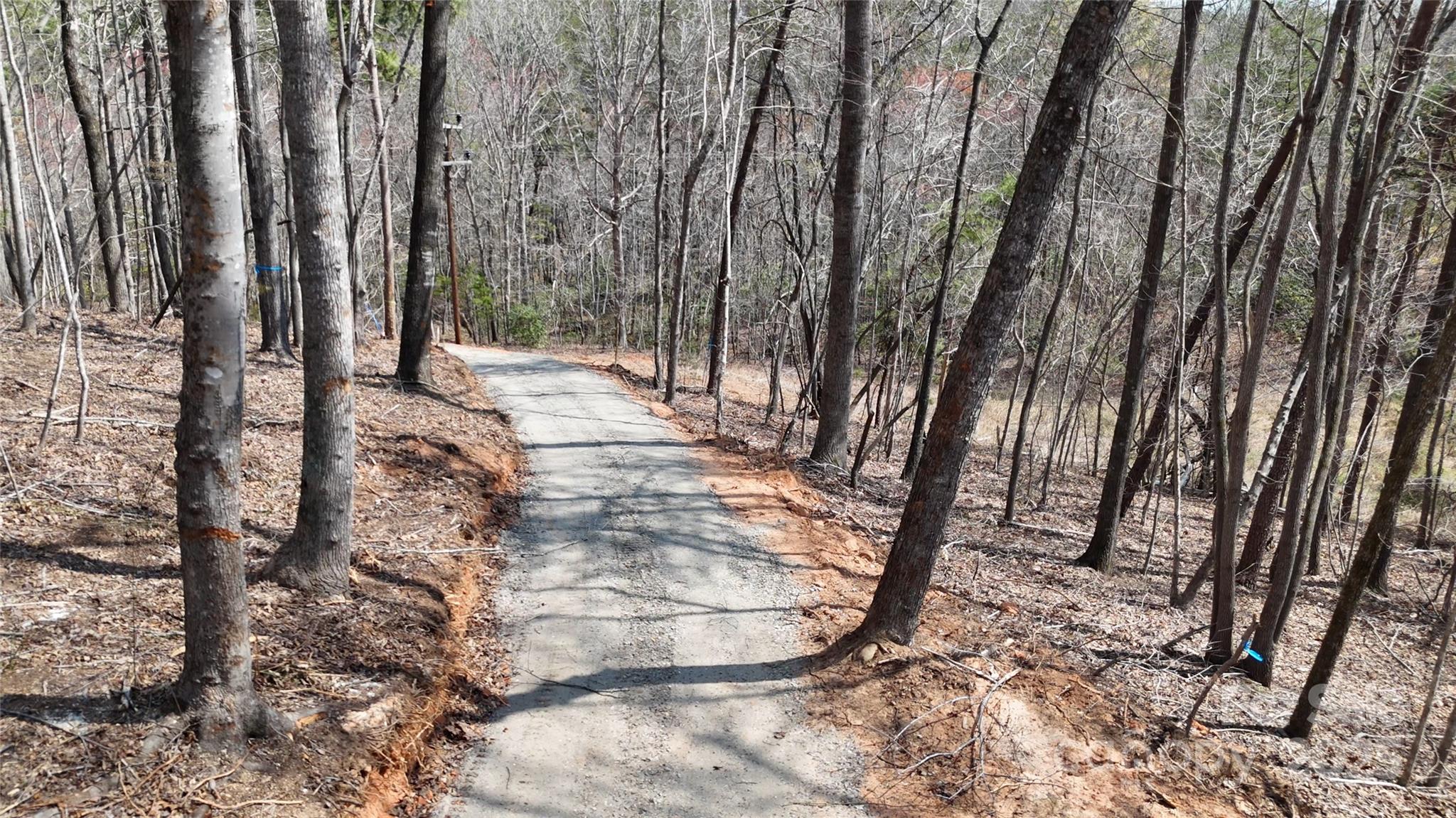 19.75 Acres King Stepp Road Property Photo 4