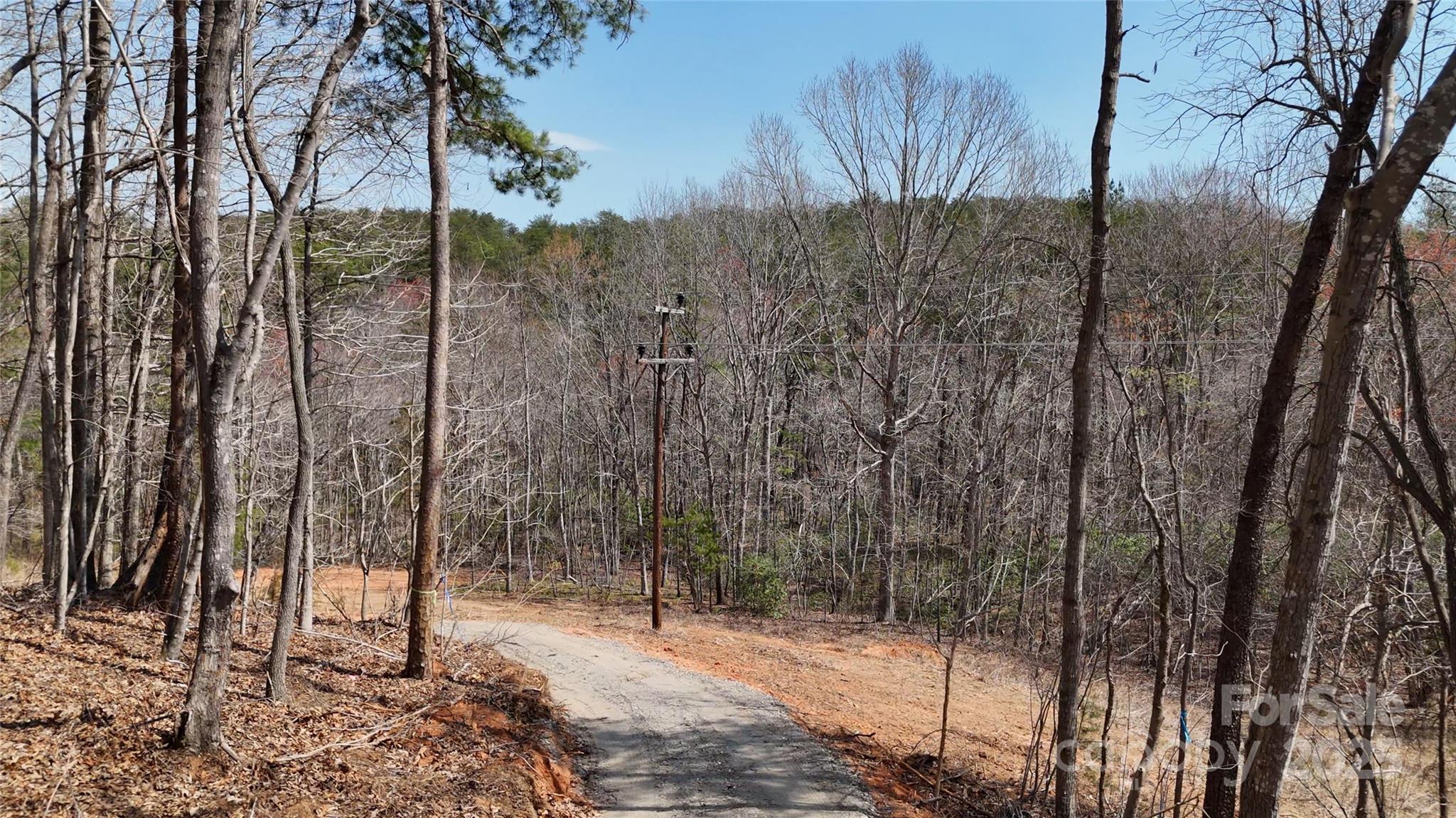 19.75 Acres King Stepp Road Property Photo 5