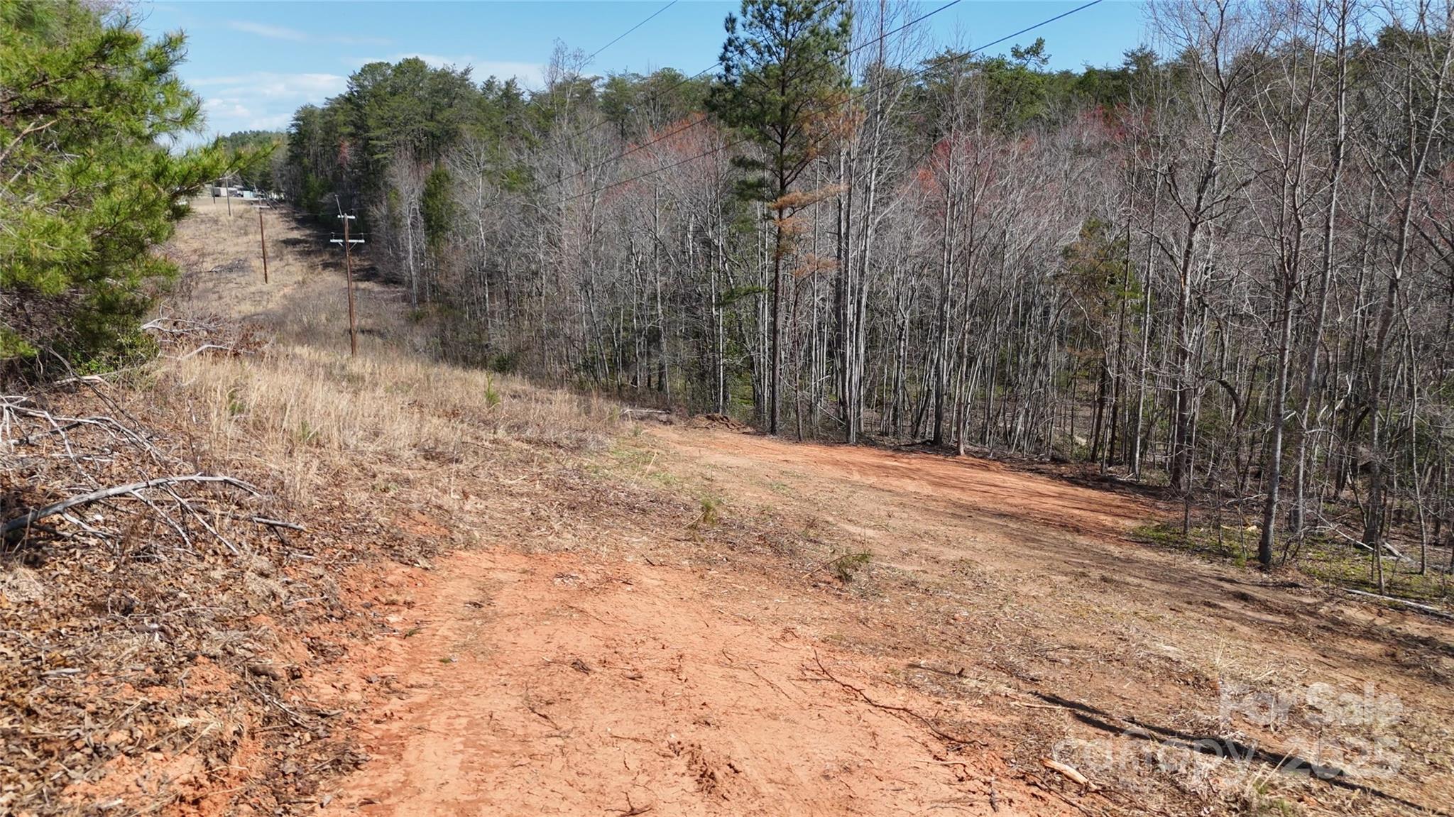 19.75 Acres King Stepp Road Property Photo 6