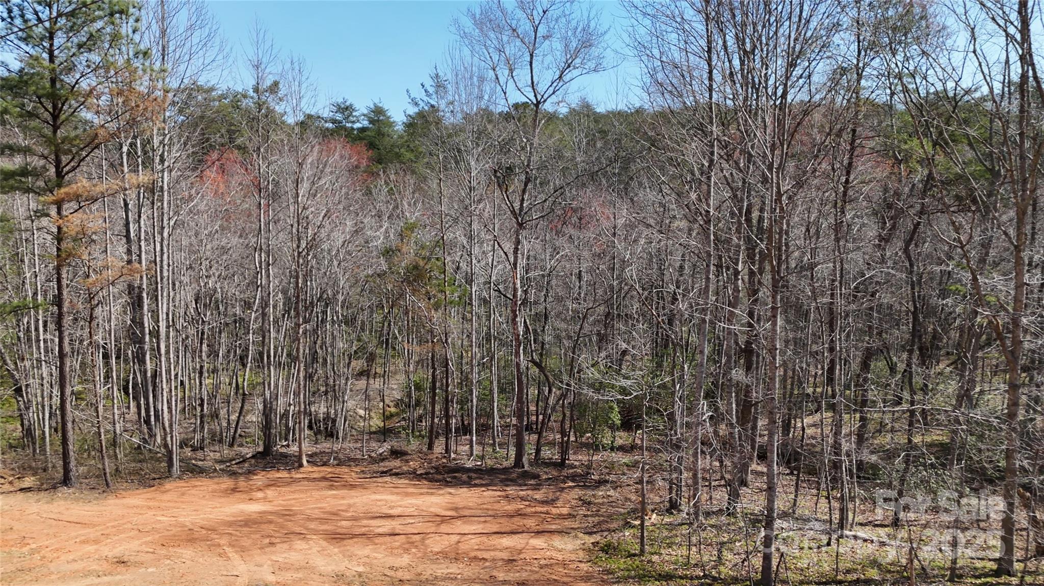 19.75 Acres King Stepp Road Property Photo 7