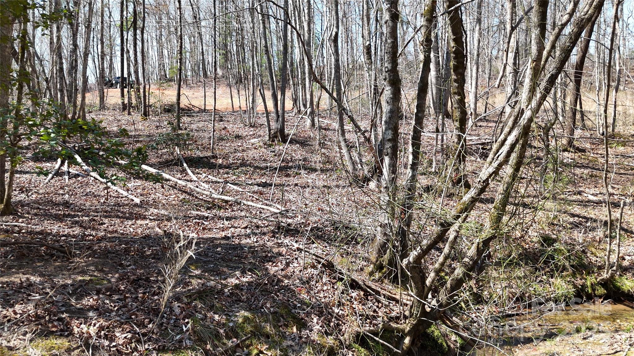 19.75 Acres King Stepp Road Property Photo 10