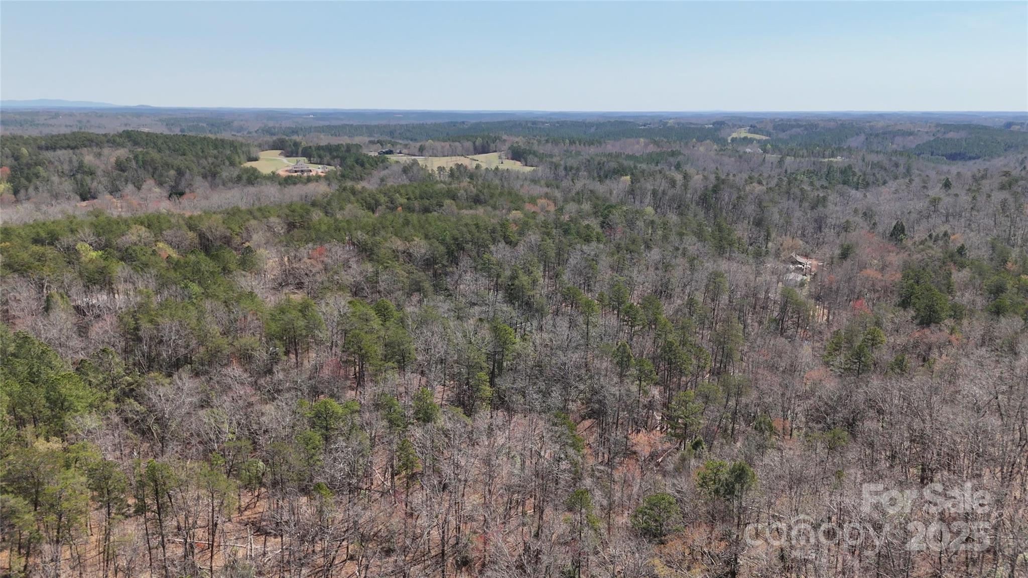 19.75 Acres King Stepp Road Property Photo 11