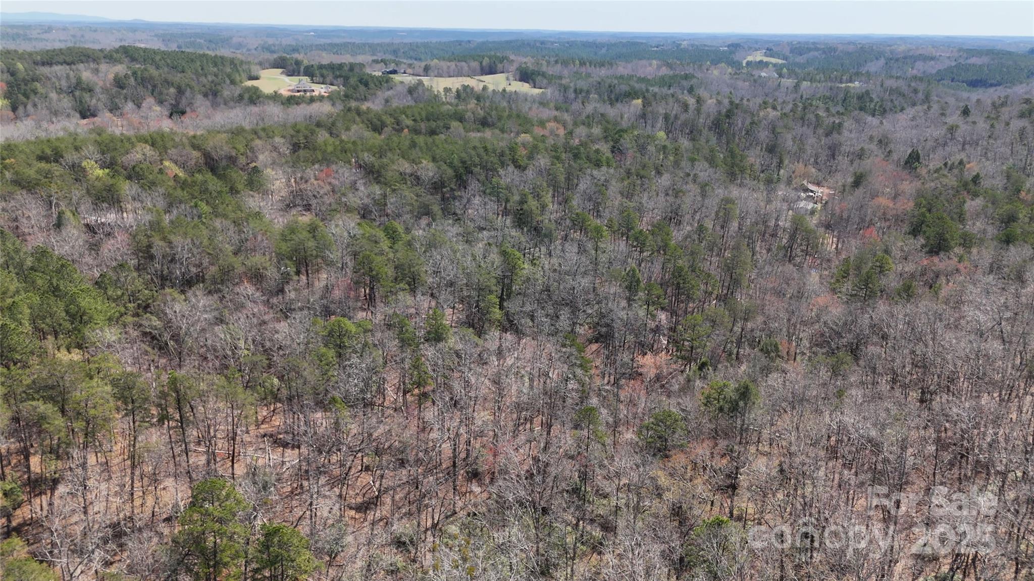 19.75 Acres King Stepp Road Property Photo 12