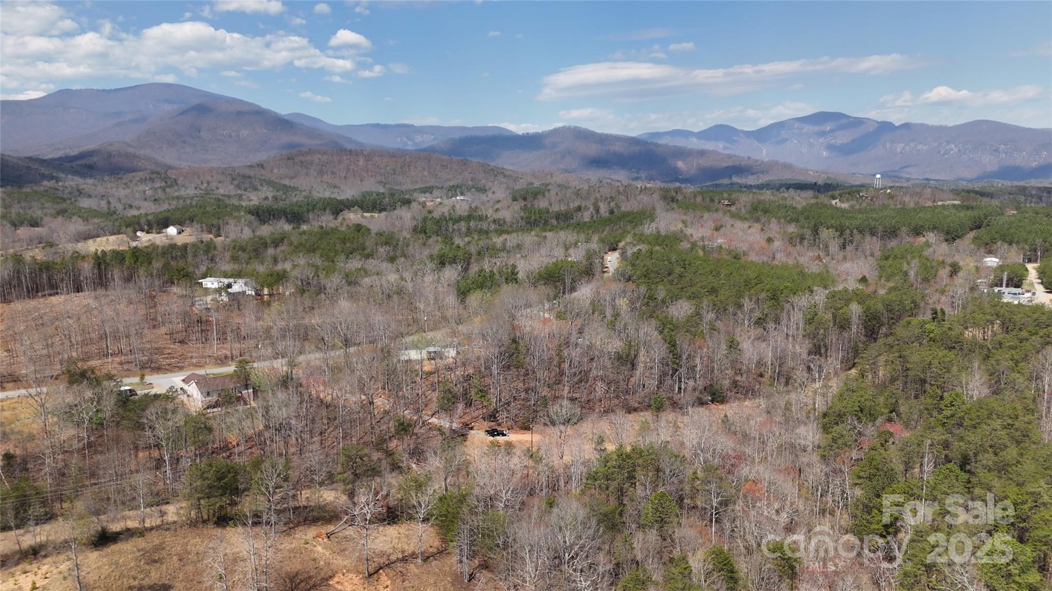 19.75 Acres King Stepp Road Property Photo 13