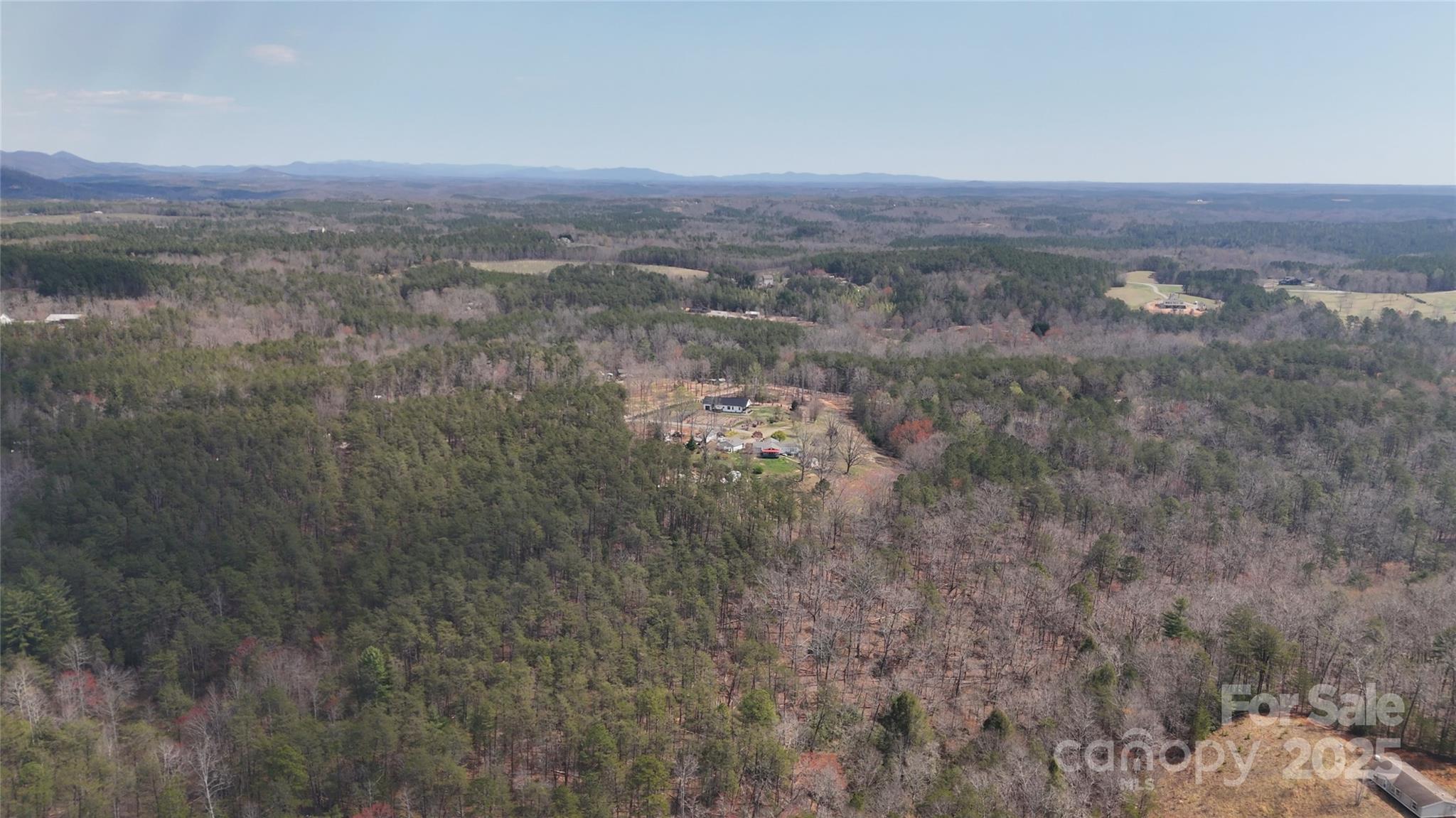 19.75 Acres King Stepp Road Property Photo 14