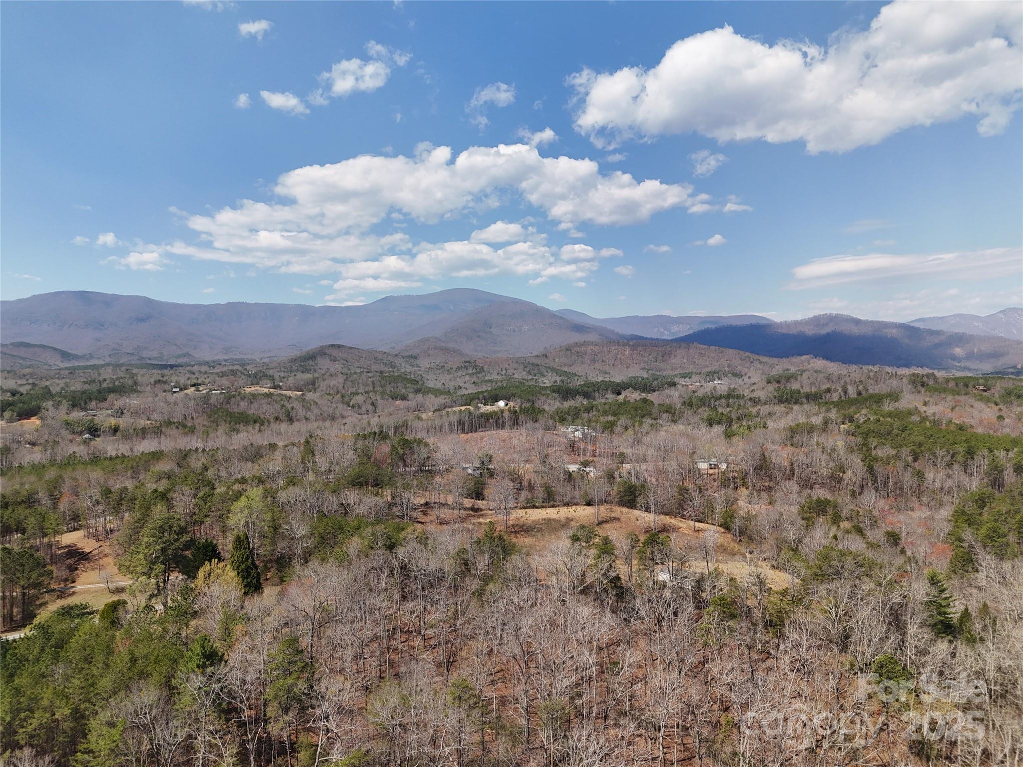 19.75 Acres King Stepp Road Property Photo 17