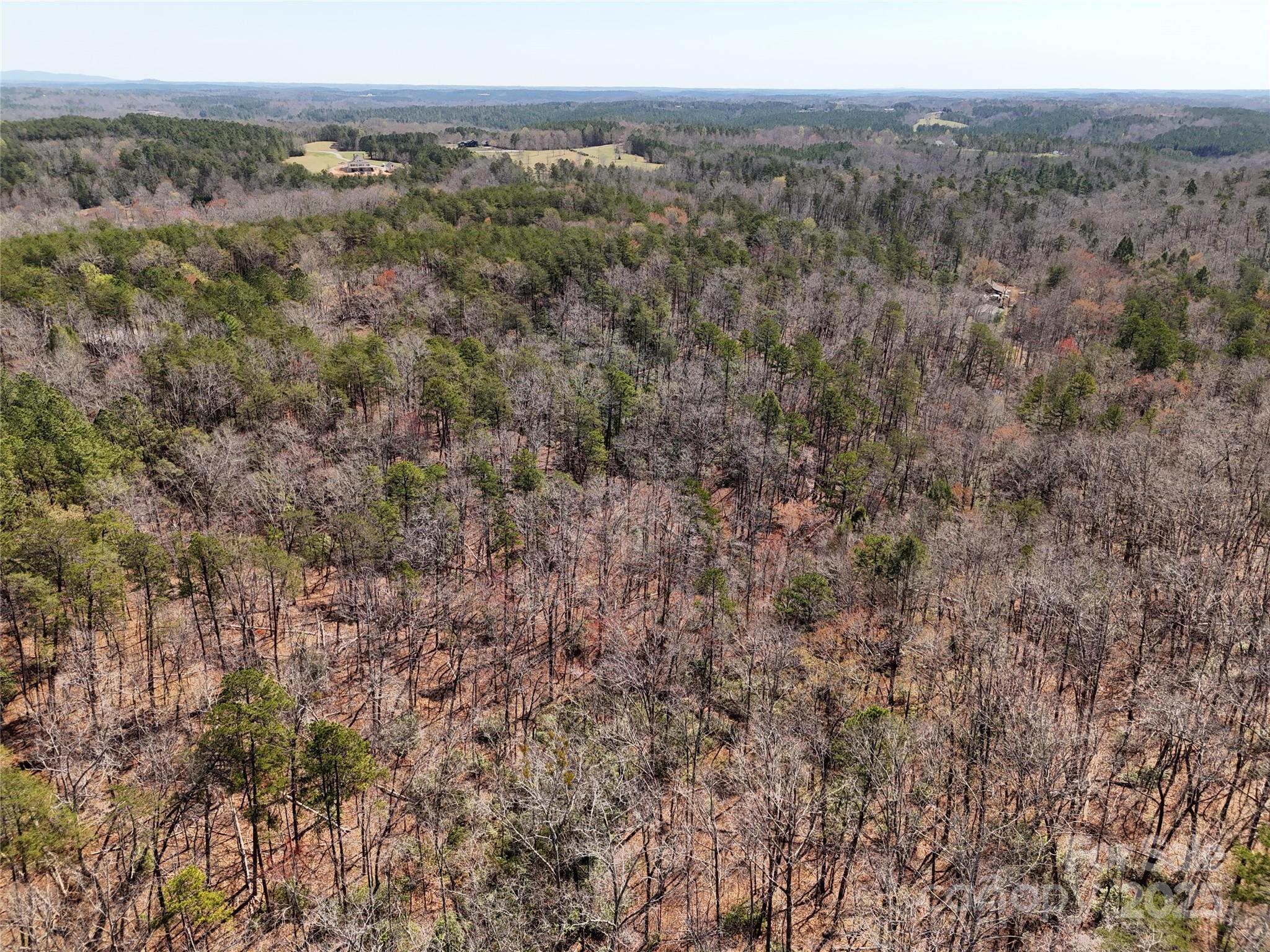 19.75 Acres King Stepp Road Property Photo 18