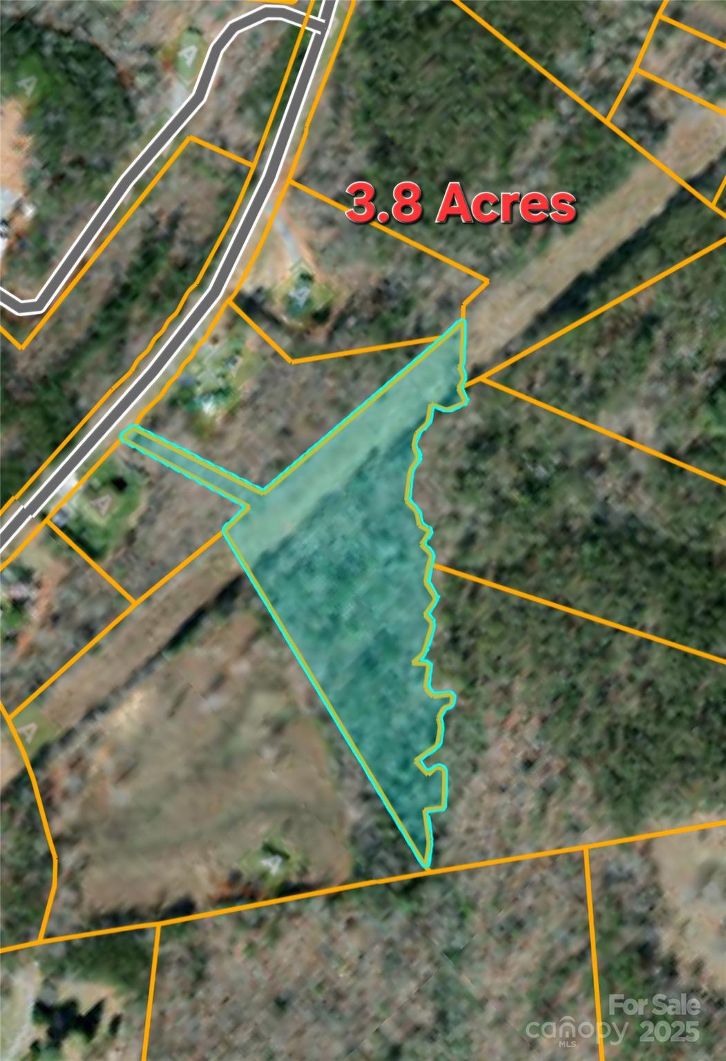 19.75 Acres King Stepp Road Property Photo 20