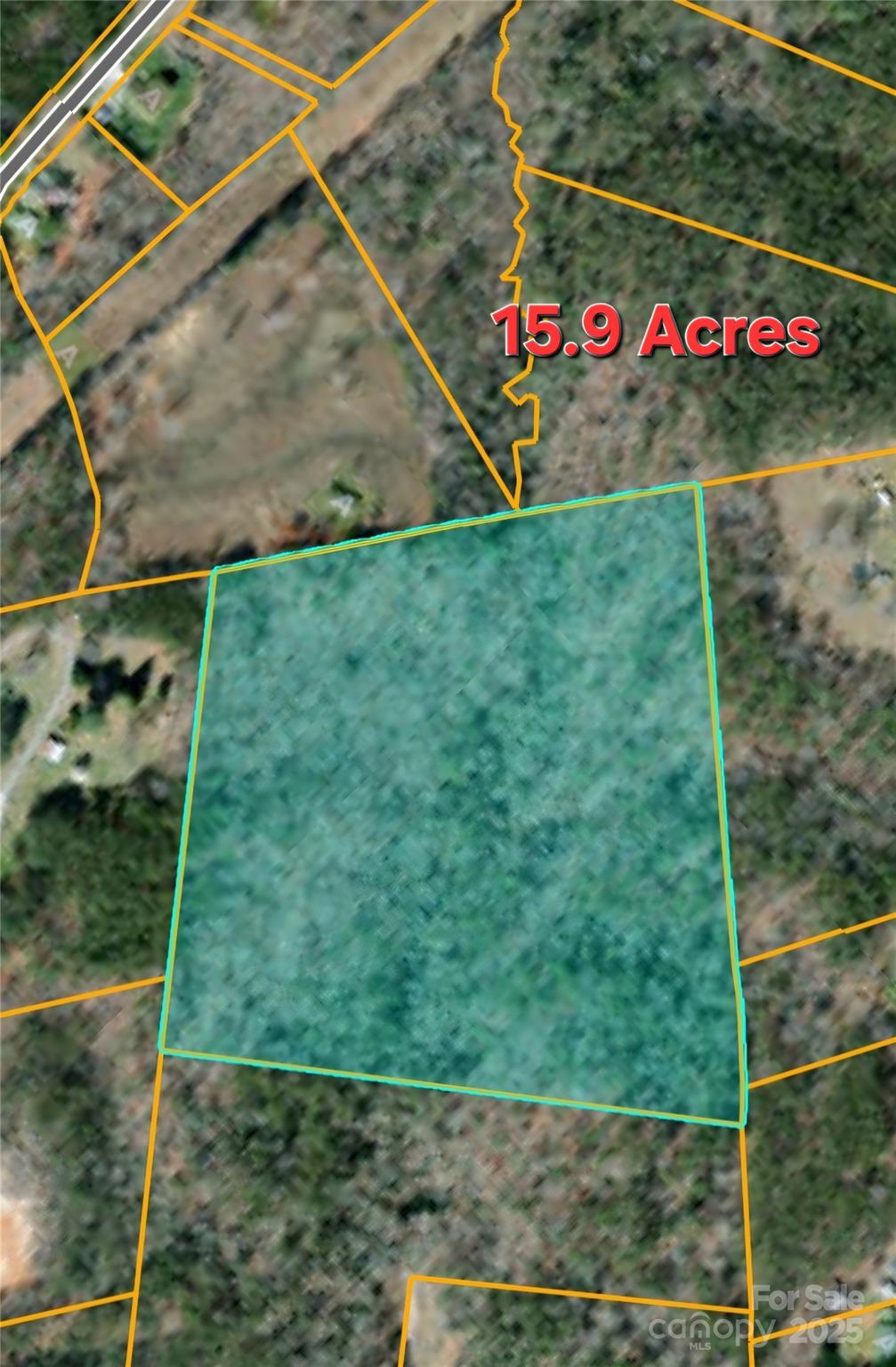 19.75 Acres King Stepp Road Property Photo 21