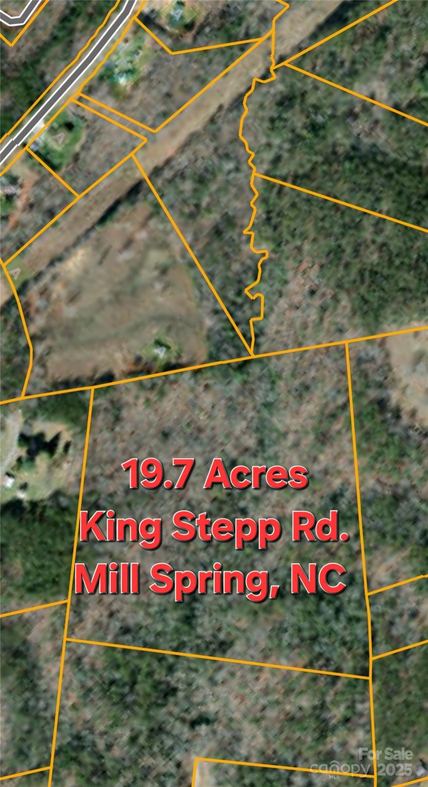 19.75 Acres King Stepp Road Property Photo 22