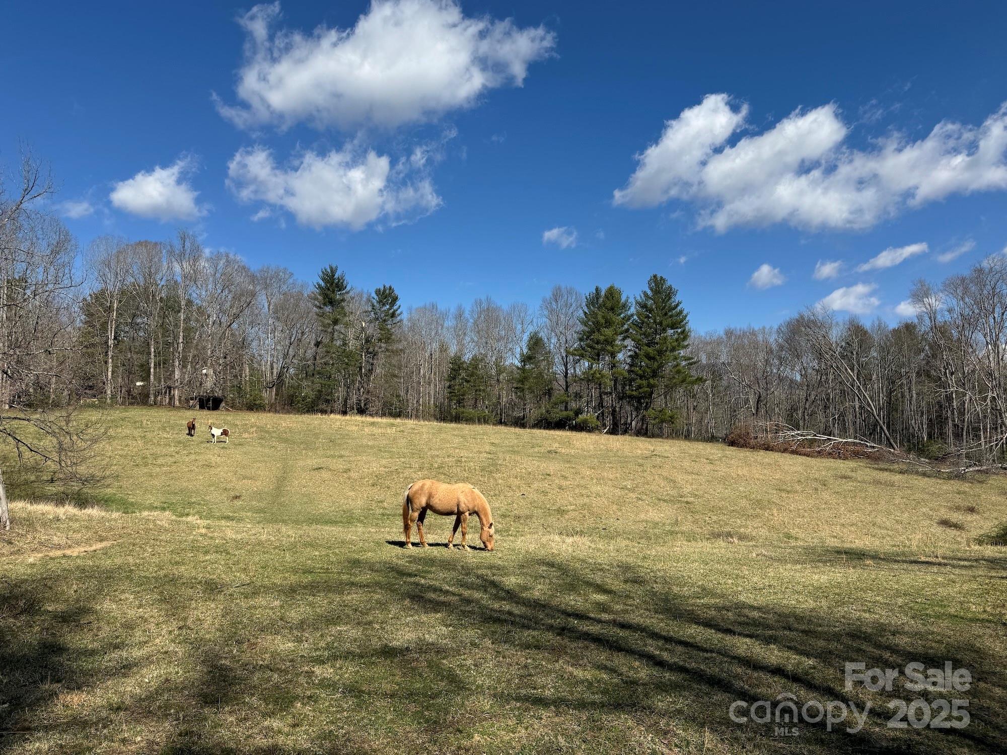 Tbd Lytle Road Property Photo