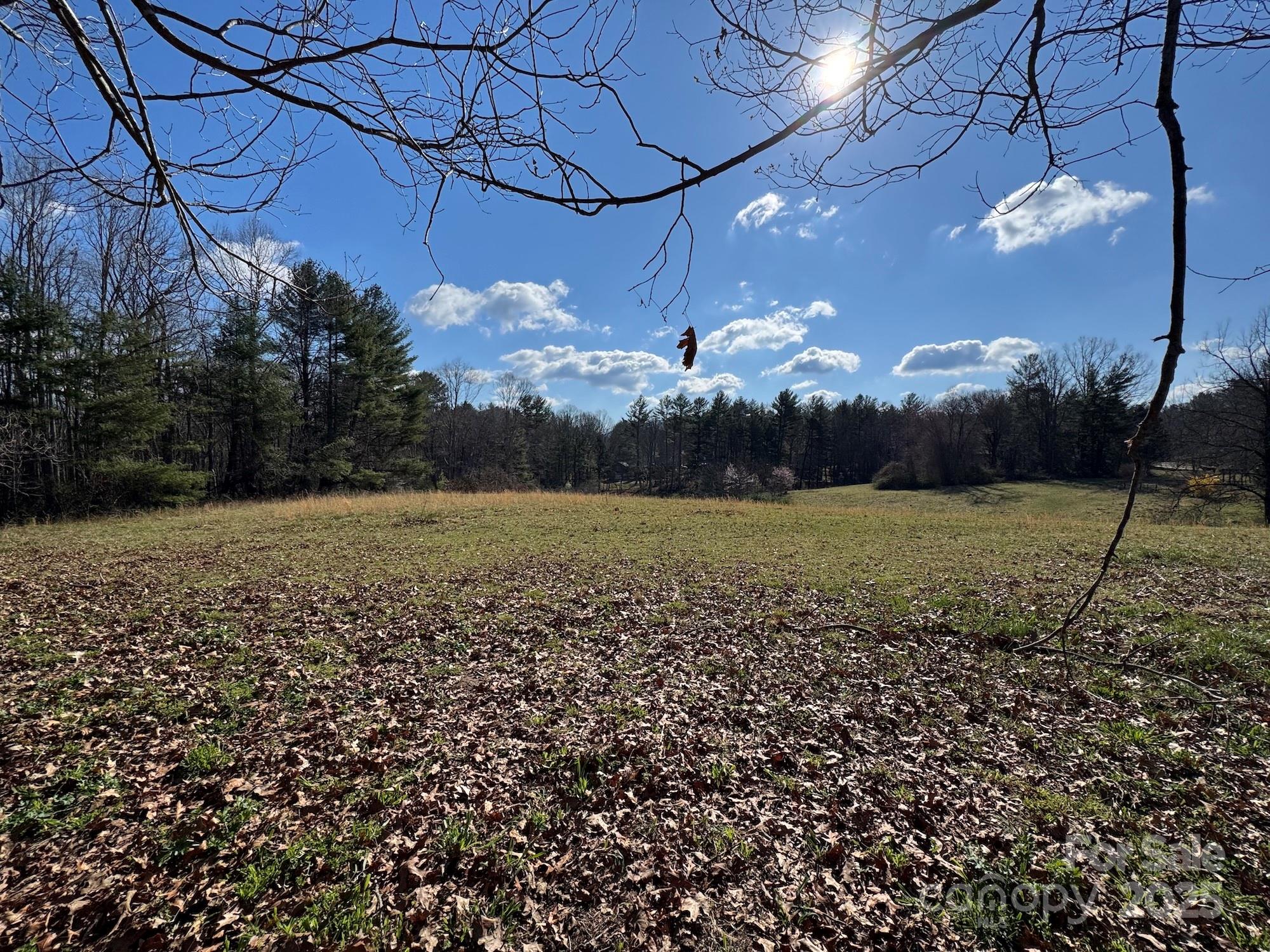 Tbd Lytle Road Property Photo 12
