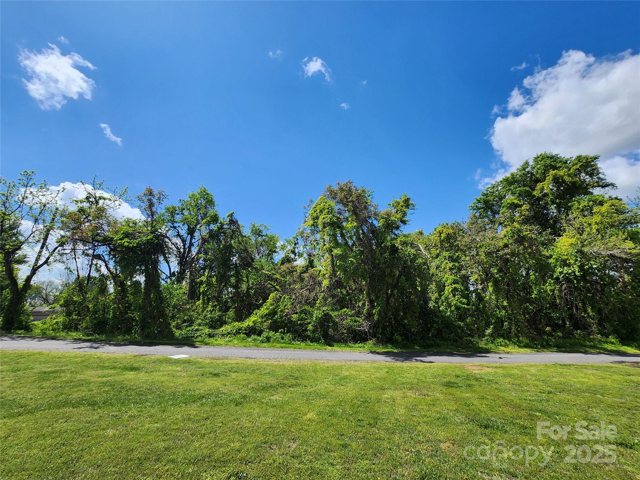 127 Moore Street Property Photo 6