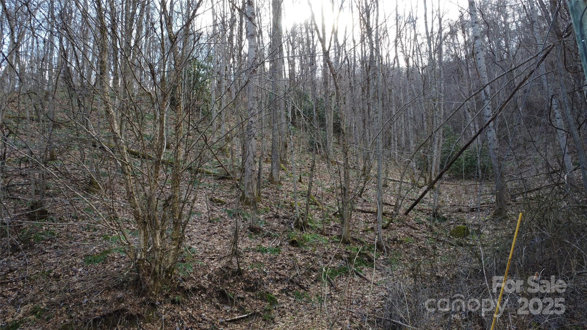 24 Village Lane Property Photo 12