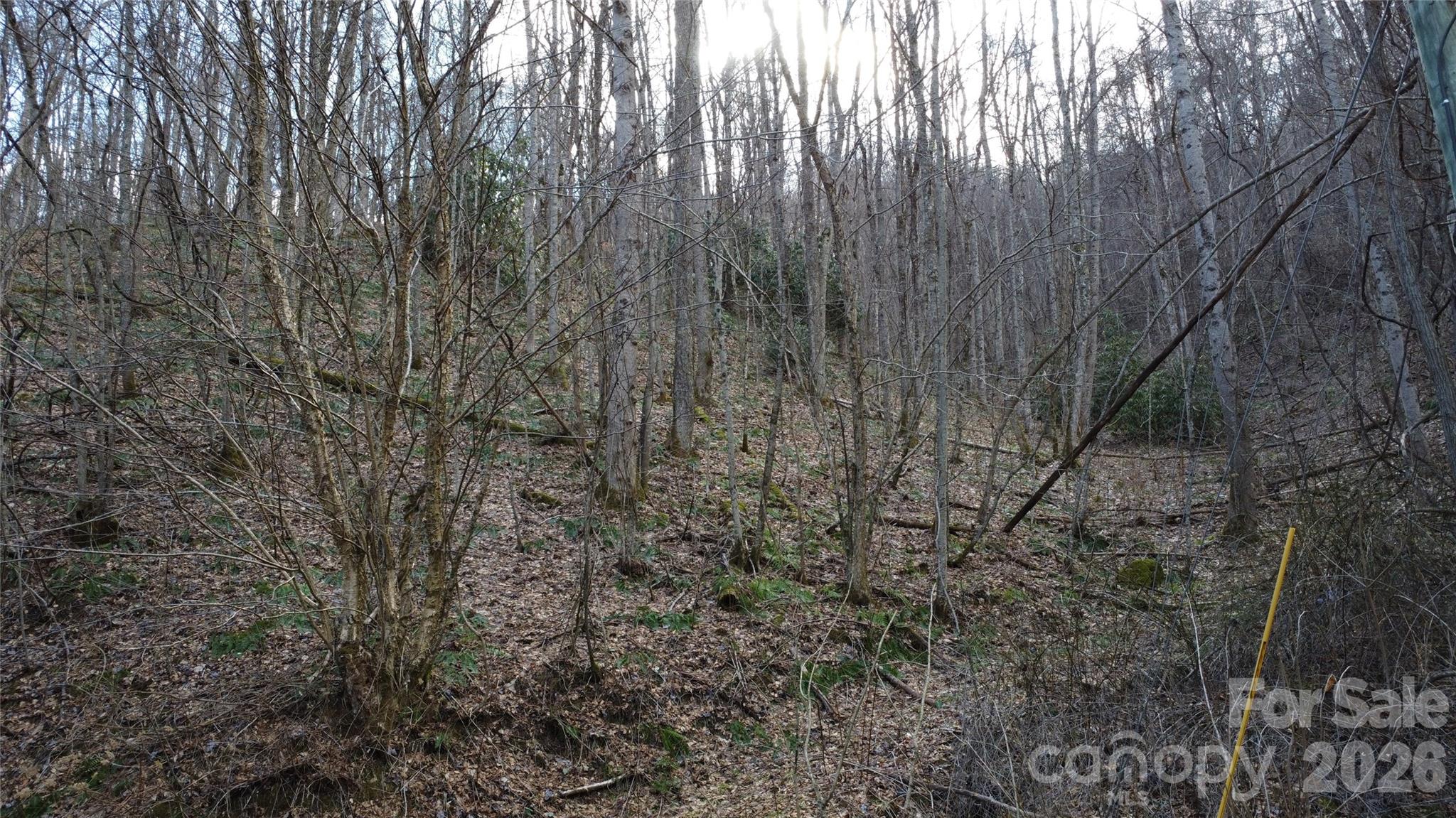 24 Village Lane Property Photo 12