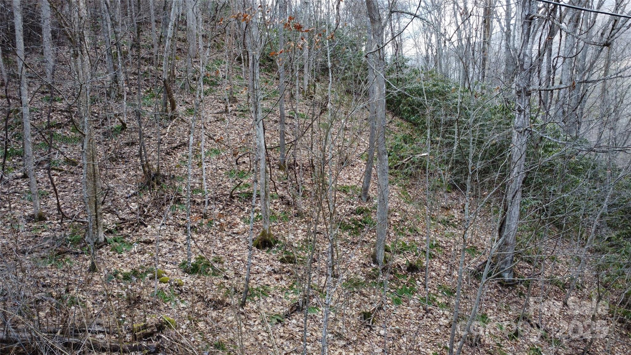 24 Village Lane Property Photo 13